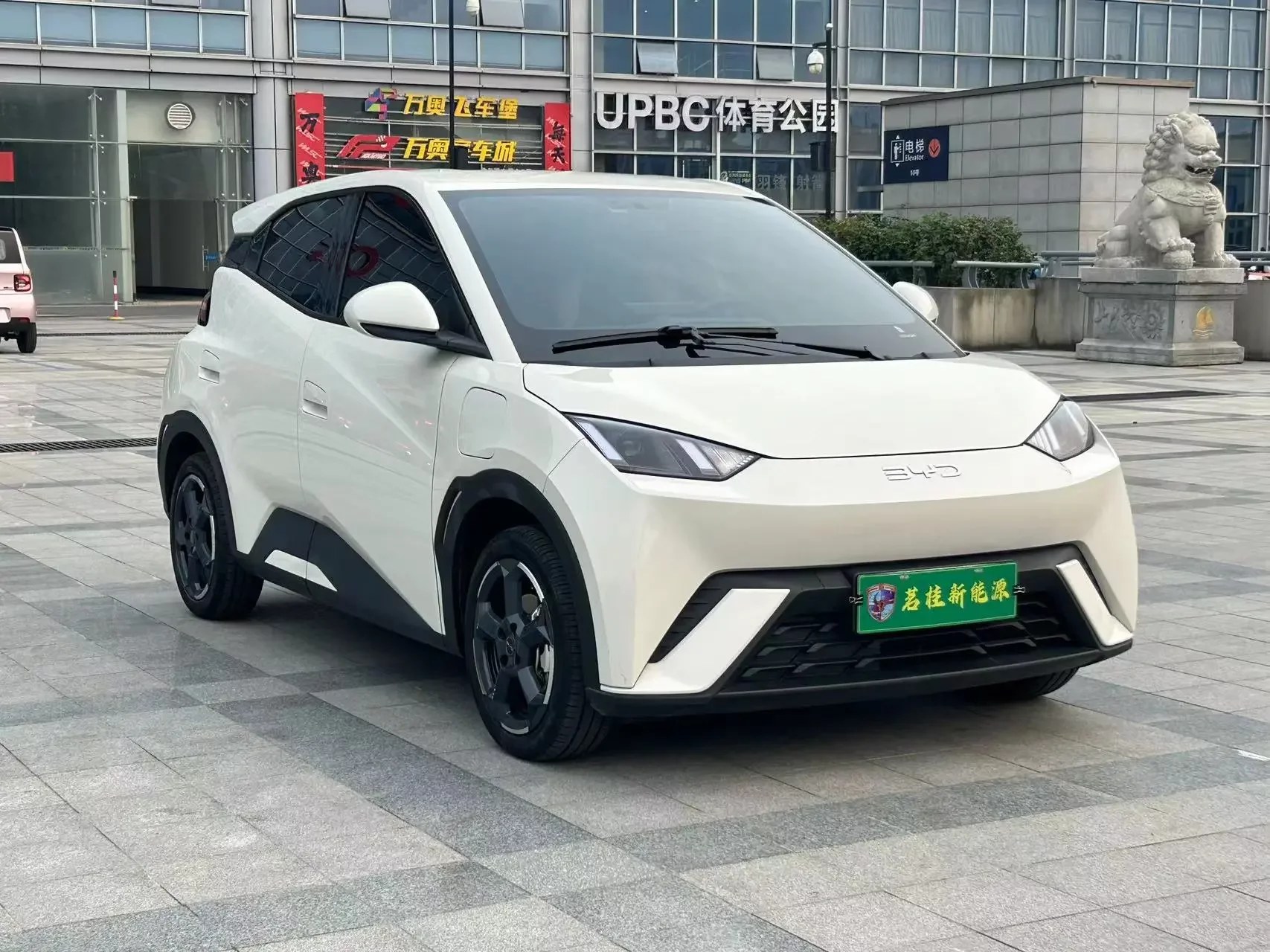 BYD seagull
