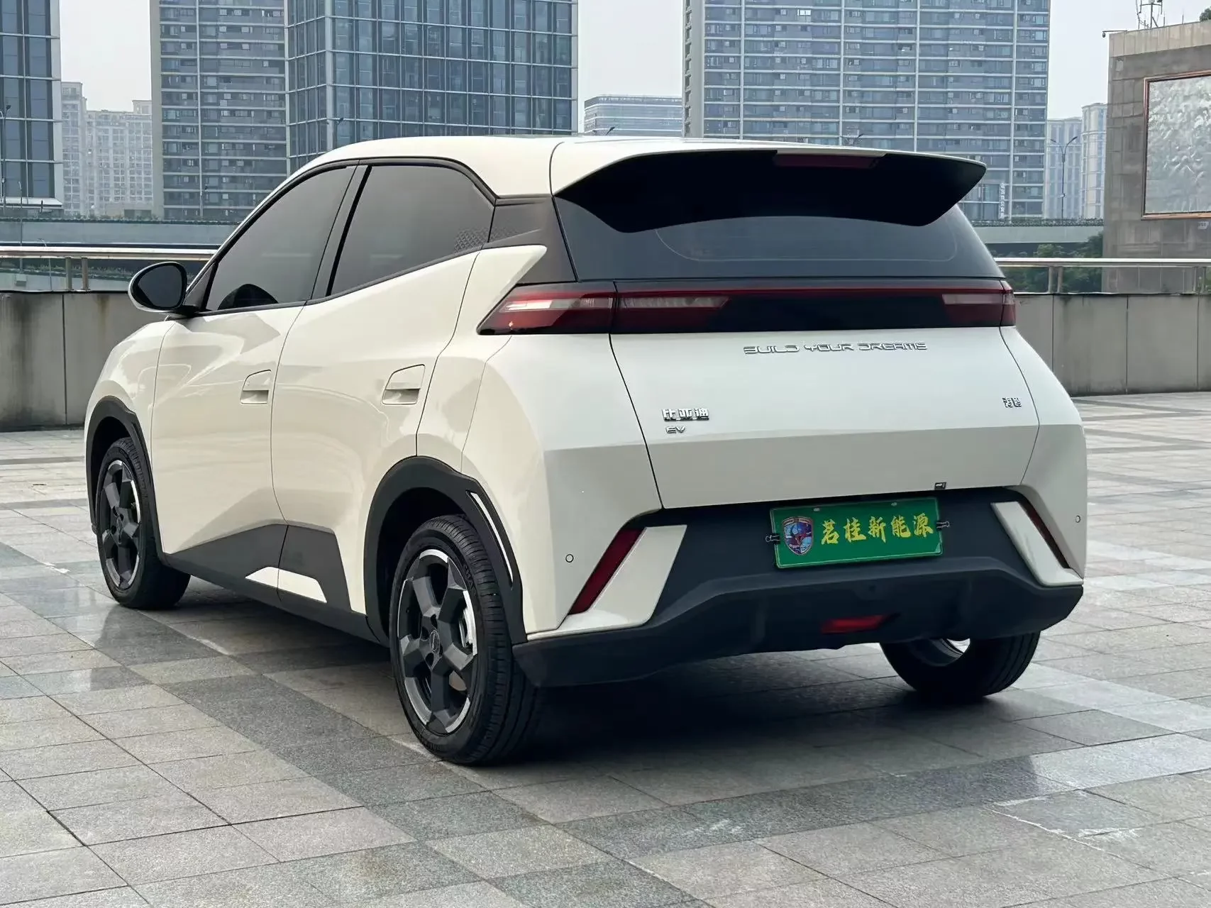 BYD seagull