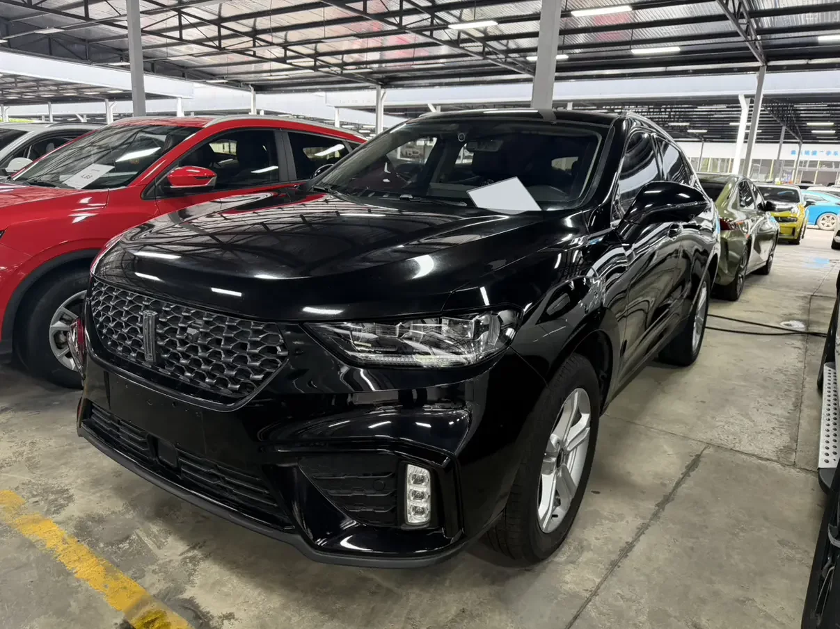Wey Wei brand VV5