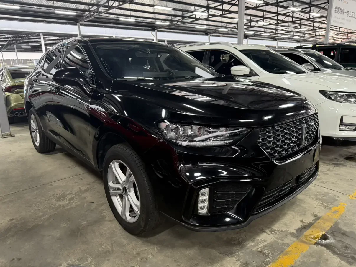 Wey Wei brand VV5