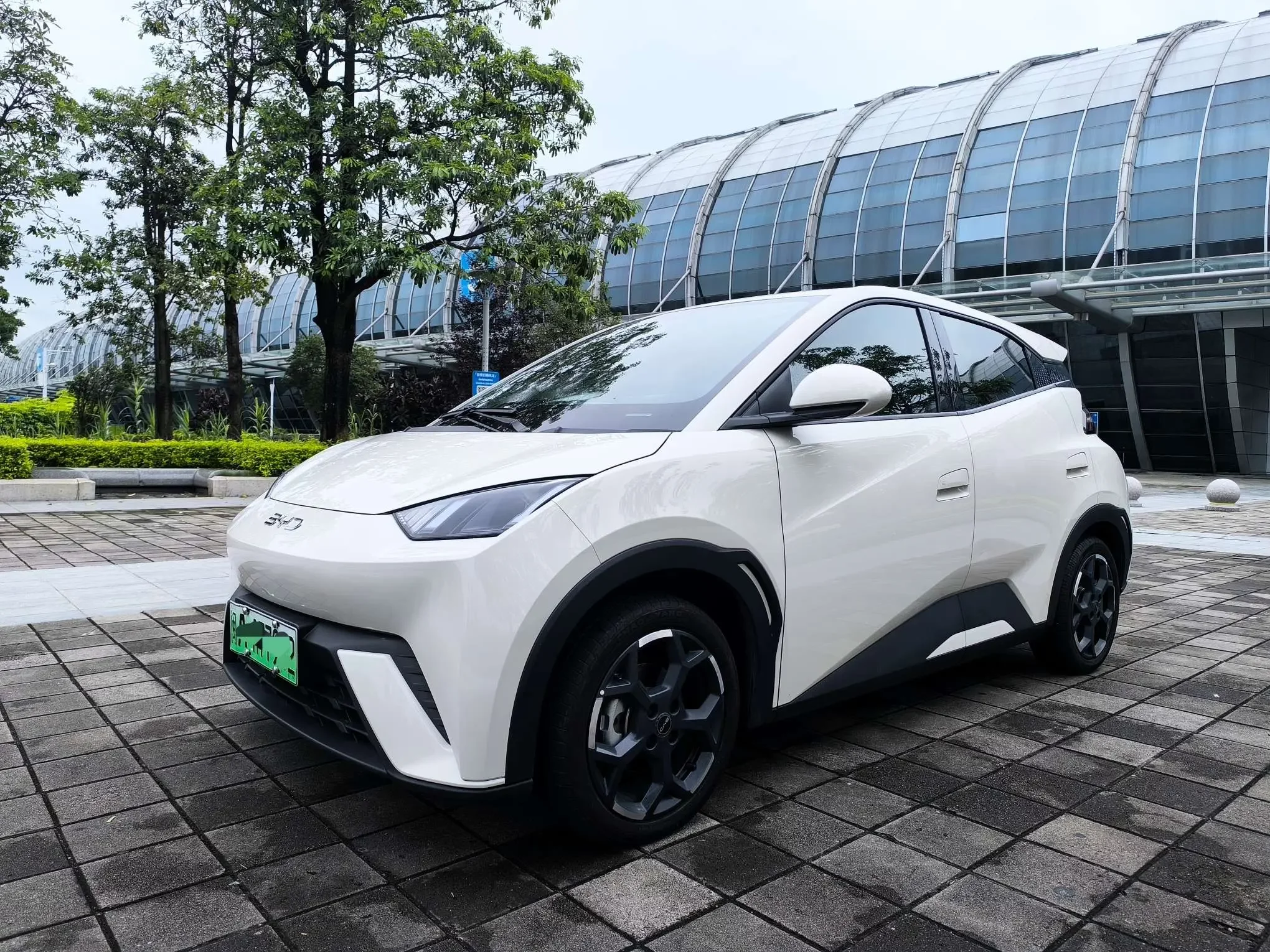BYD seagull