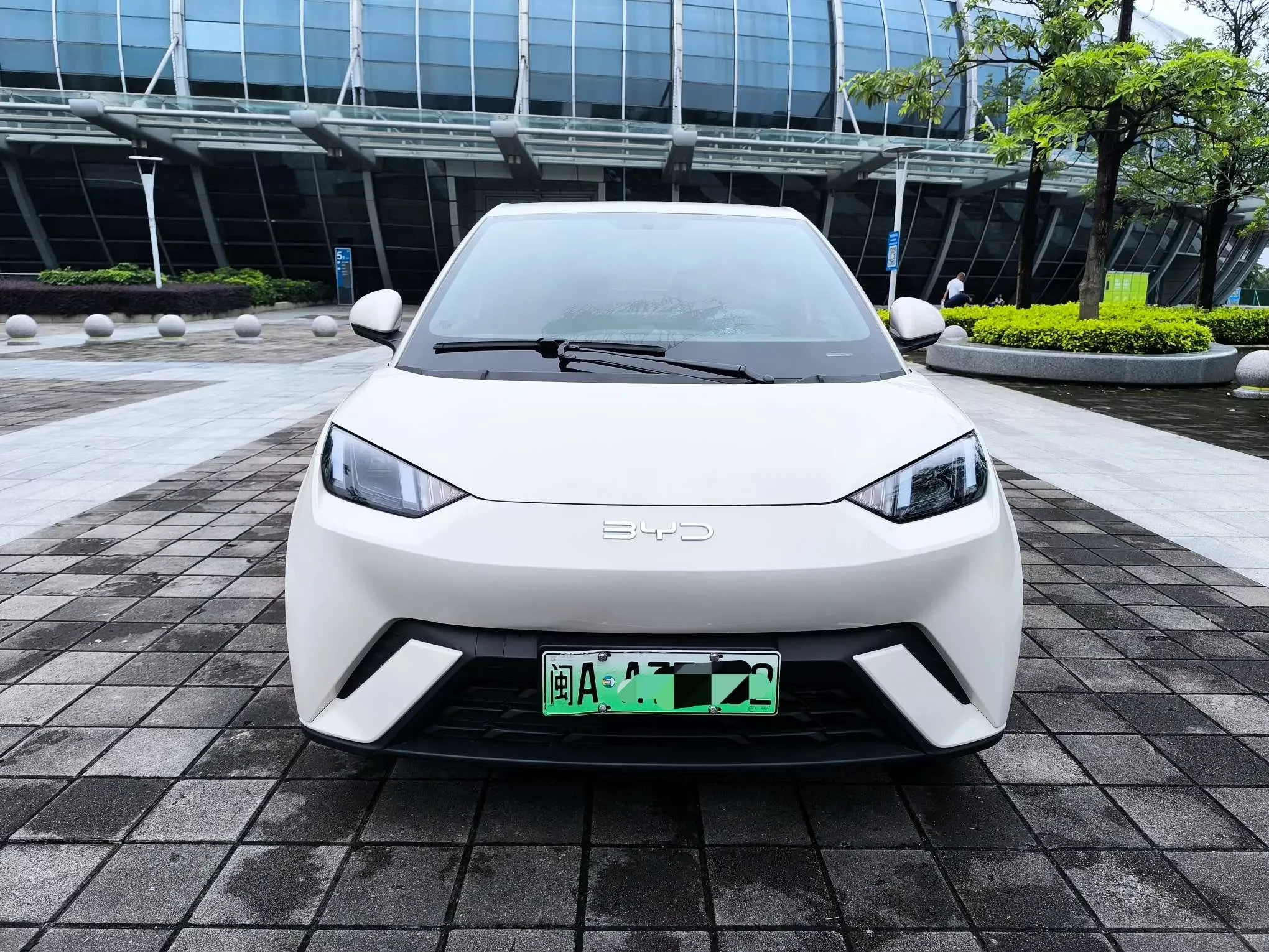 BYD seagull