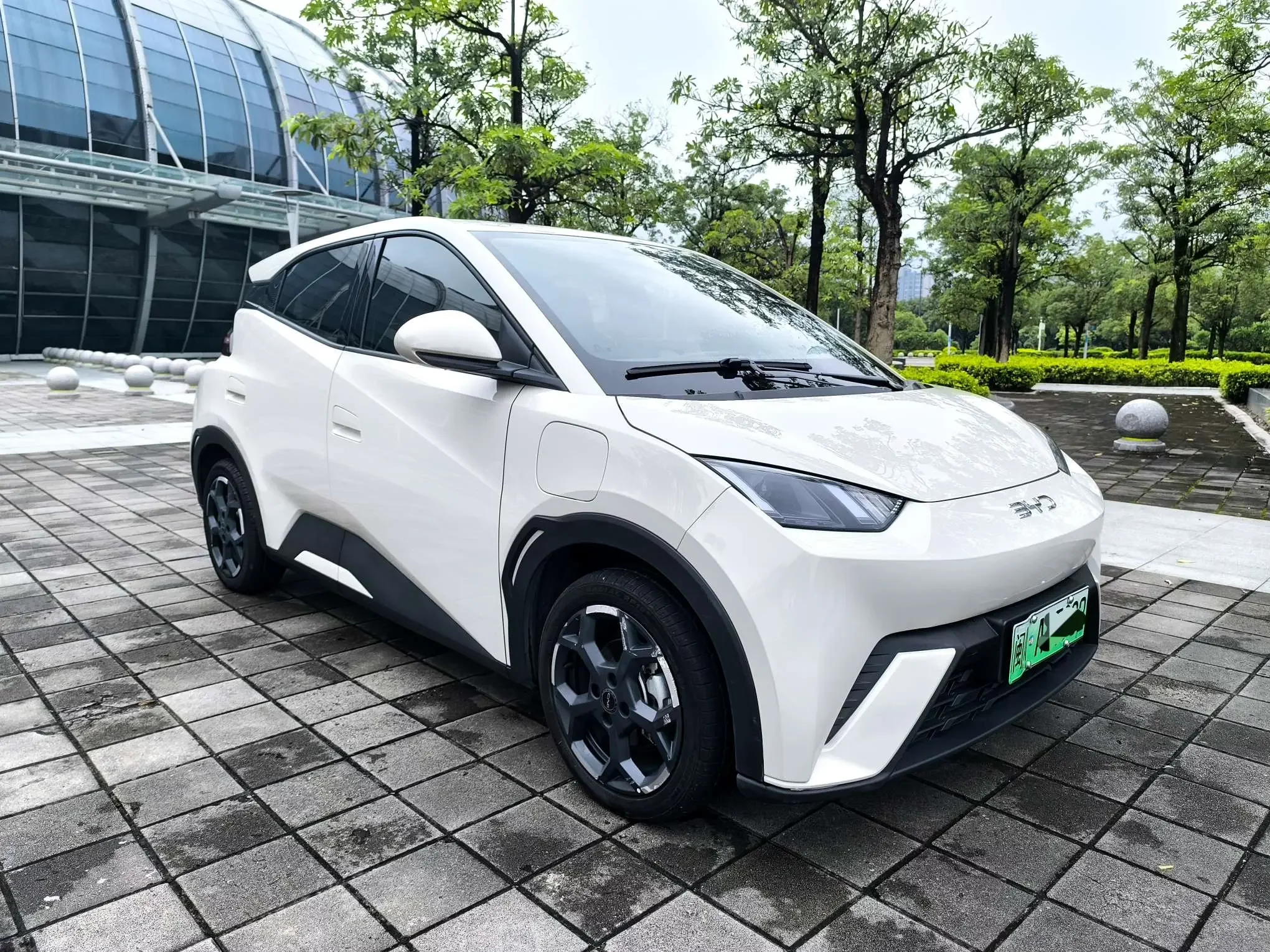 BYD seagull