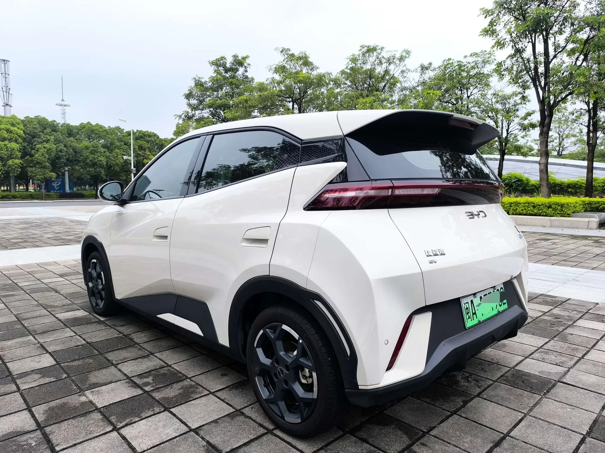 BYD seagull