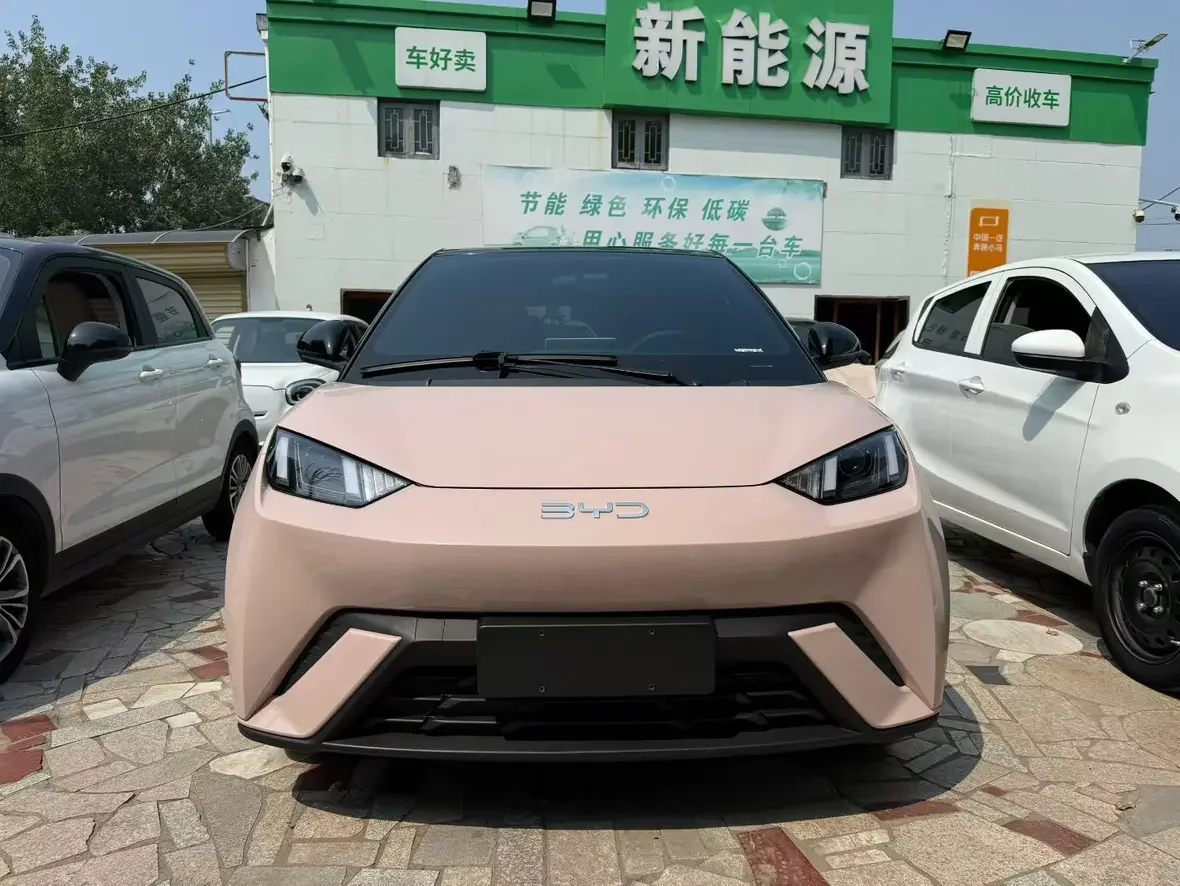BYD seagull