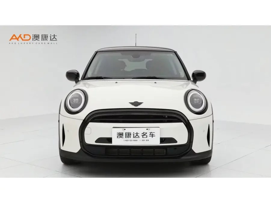 MINI 