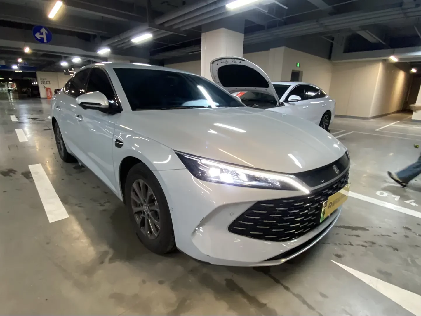 BYD Qin L DM
