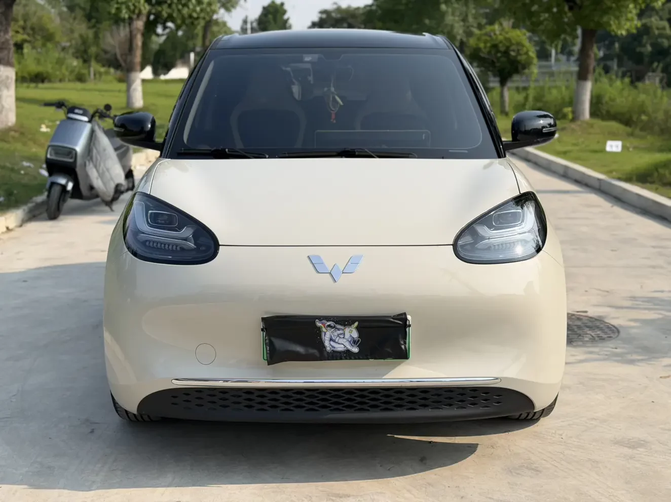 Wuling Bingo