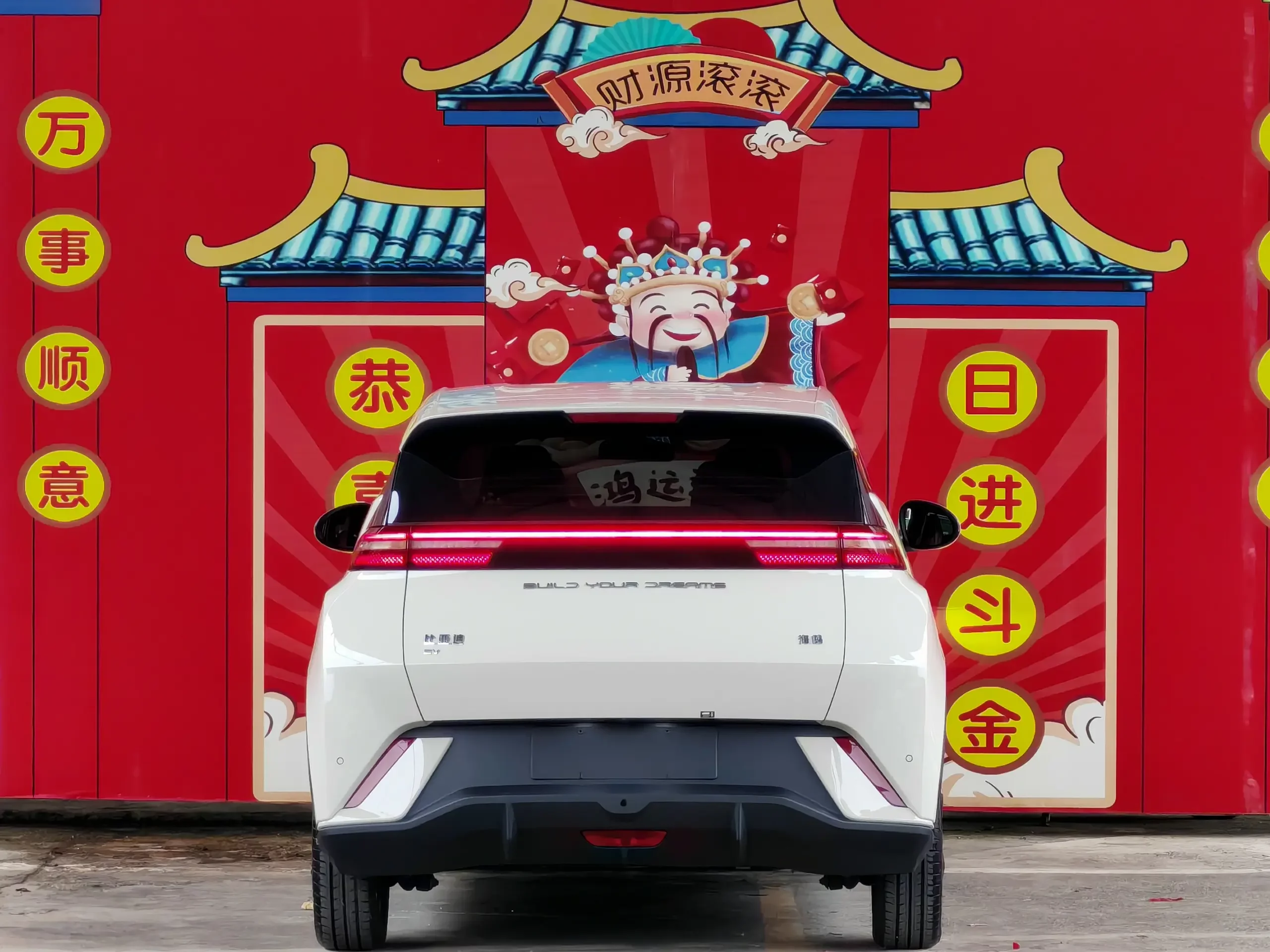 BYD seagull