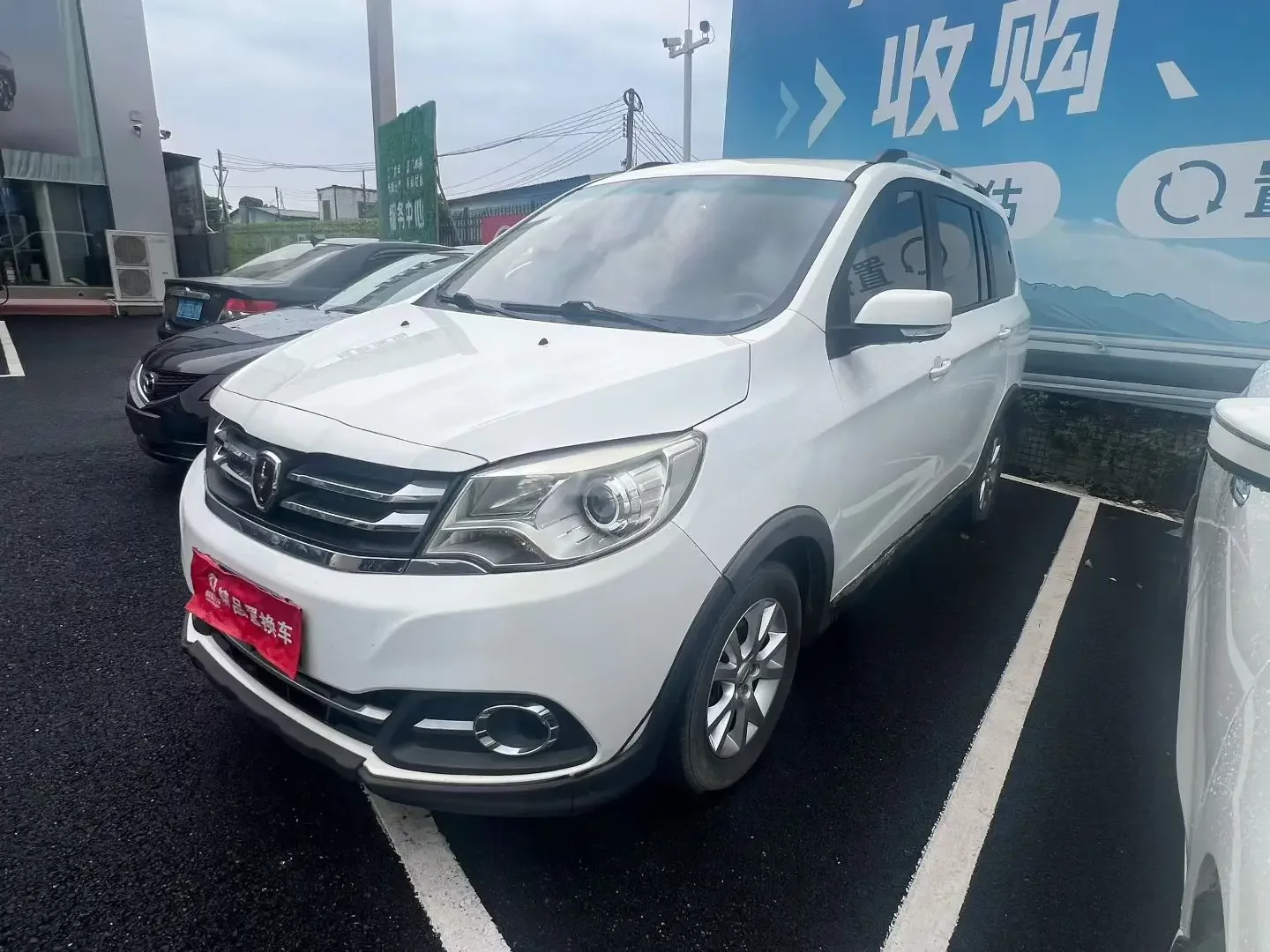 Golden cup Brilliance Jinbei 750