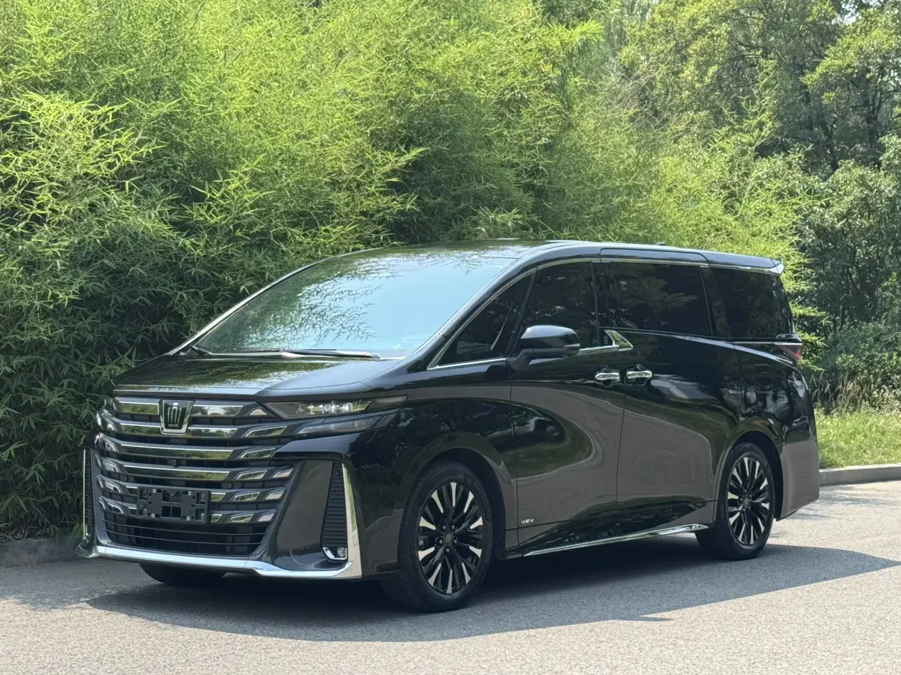 Toyota Crown Wellfire