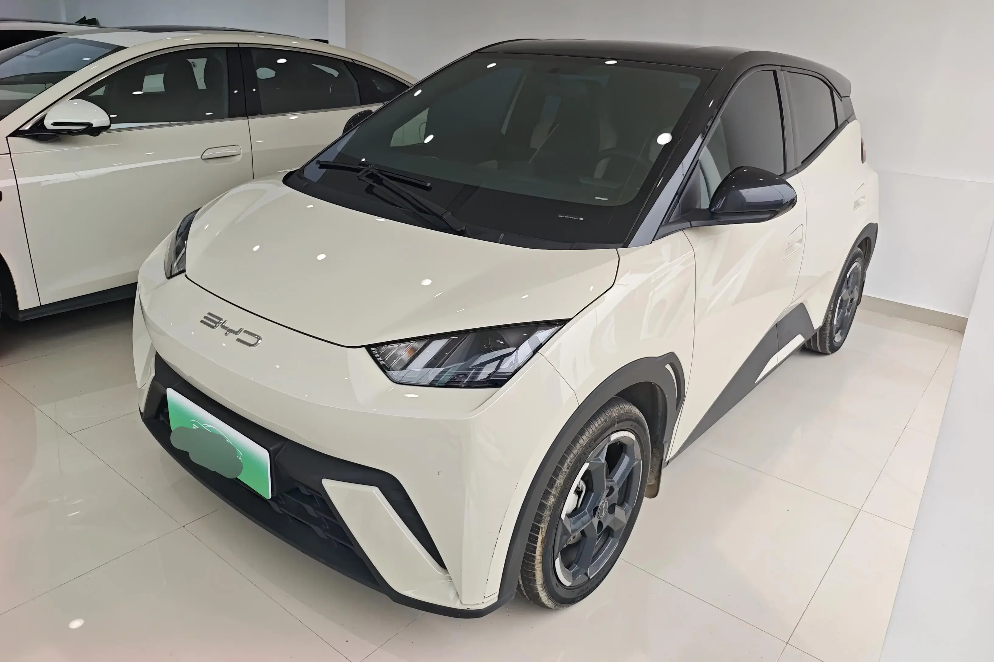 BYD seagull