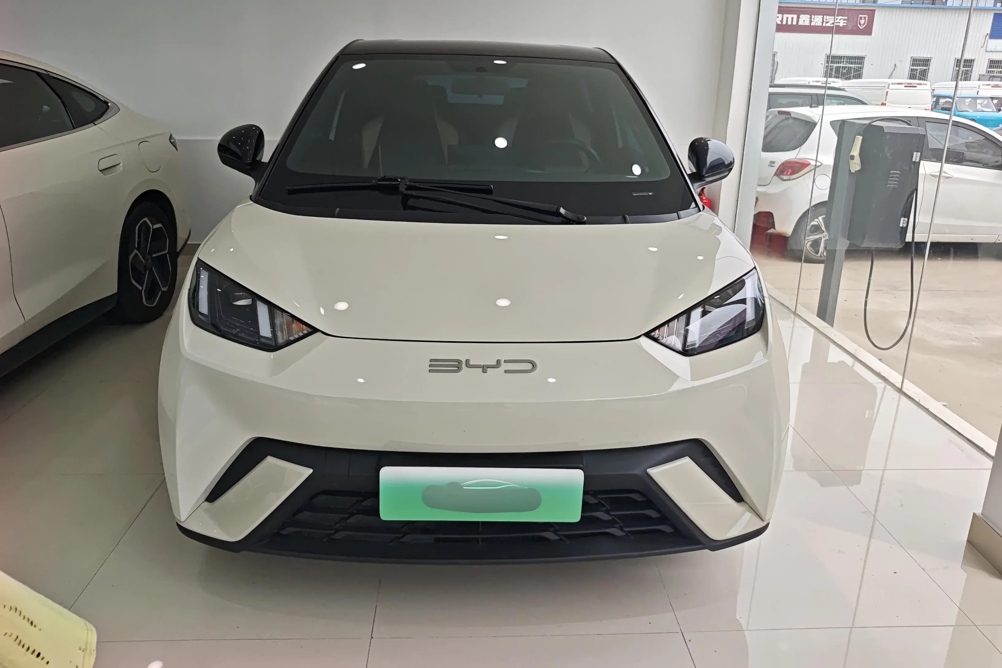 BYD seagull