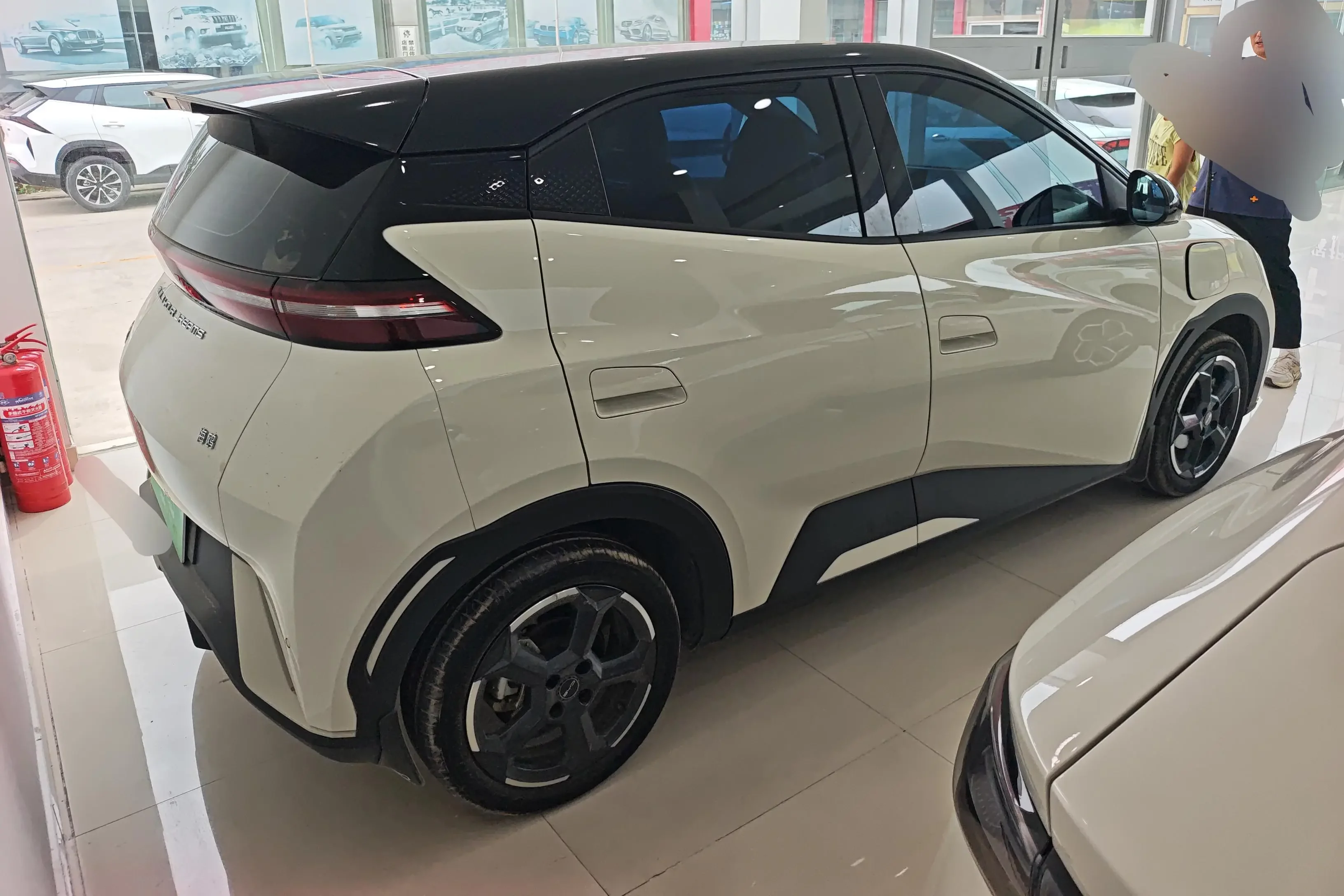 BYD seagull