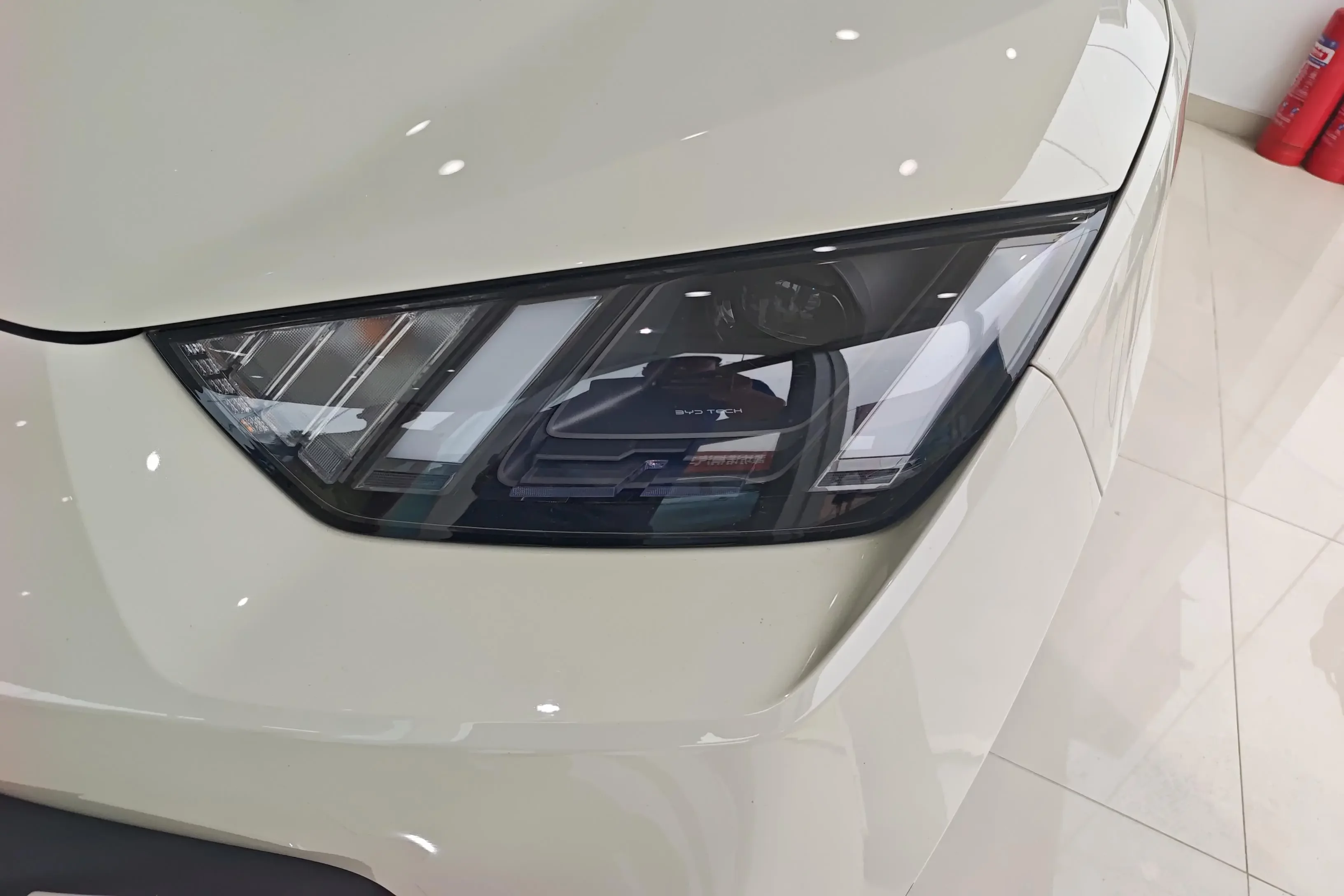 BYD seagull