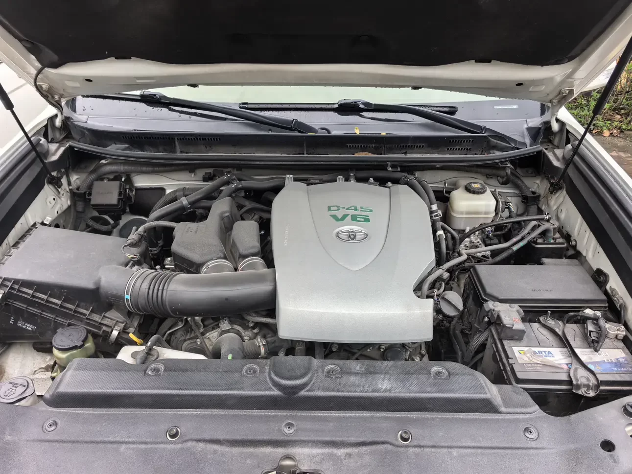 Toyota prado