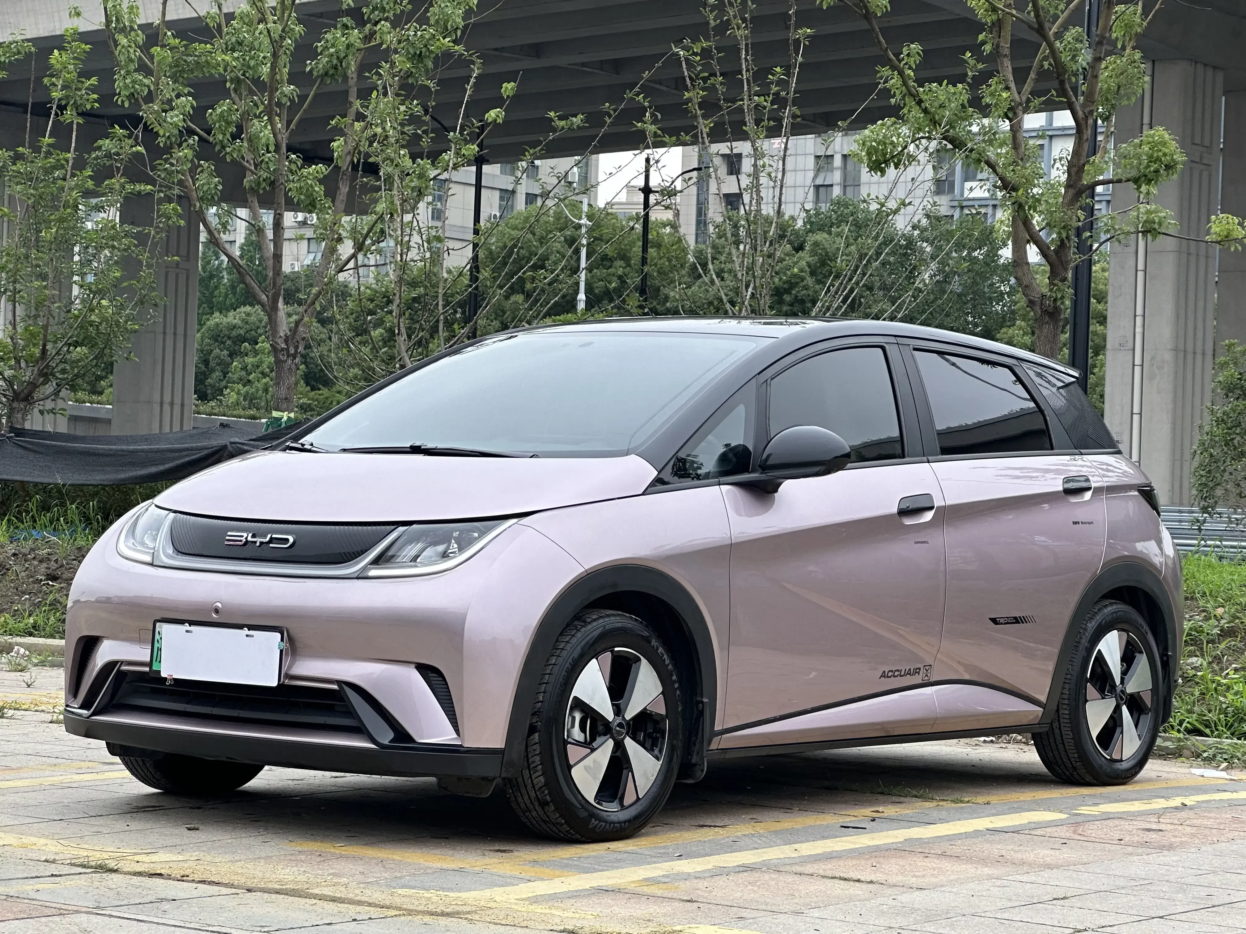 BYD dolphin