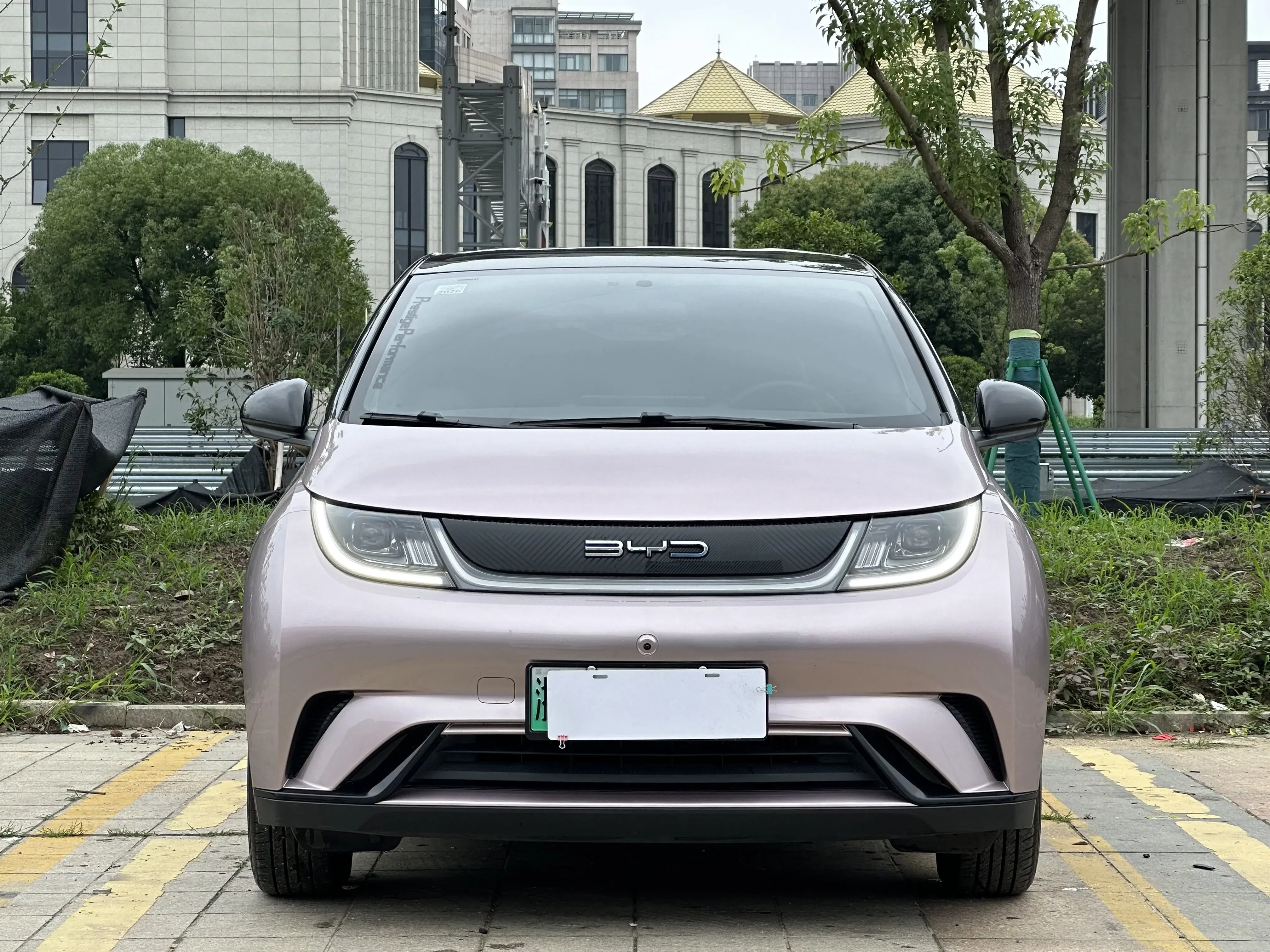 BYD dolphin