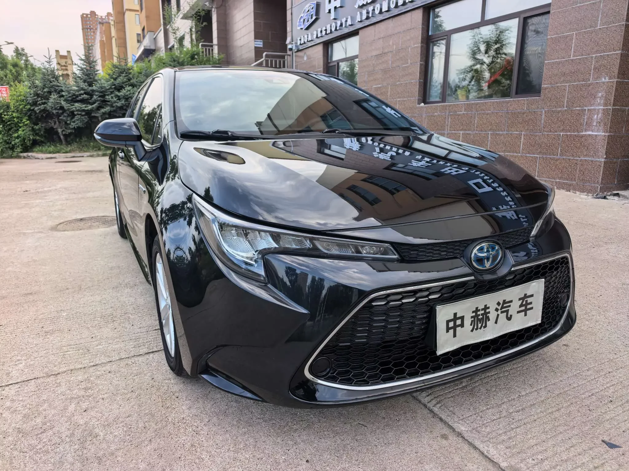 Toyota Levin