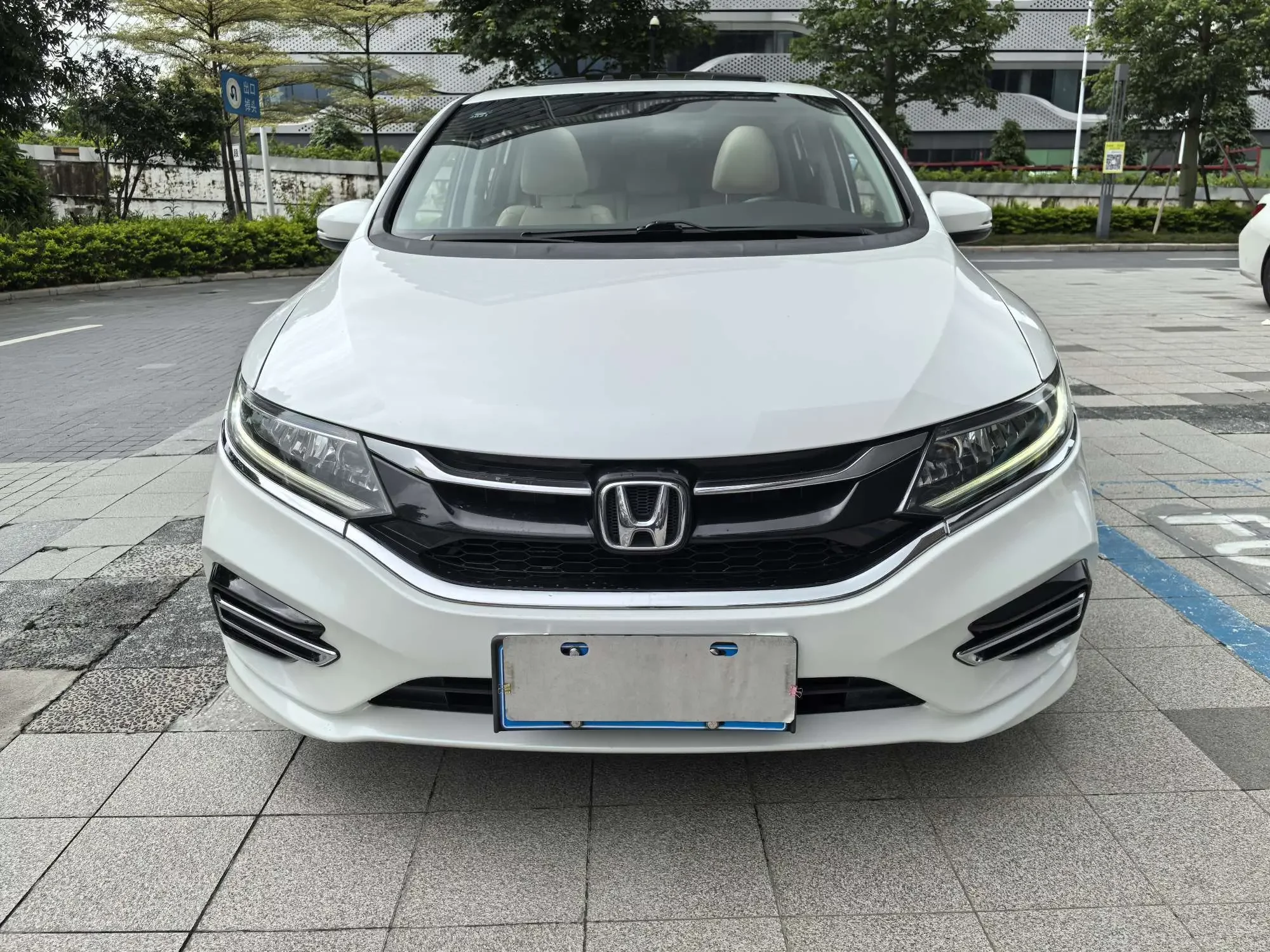 Honda Jed