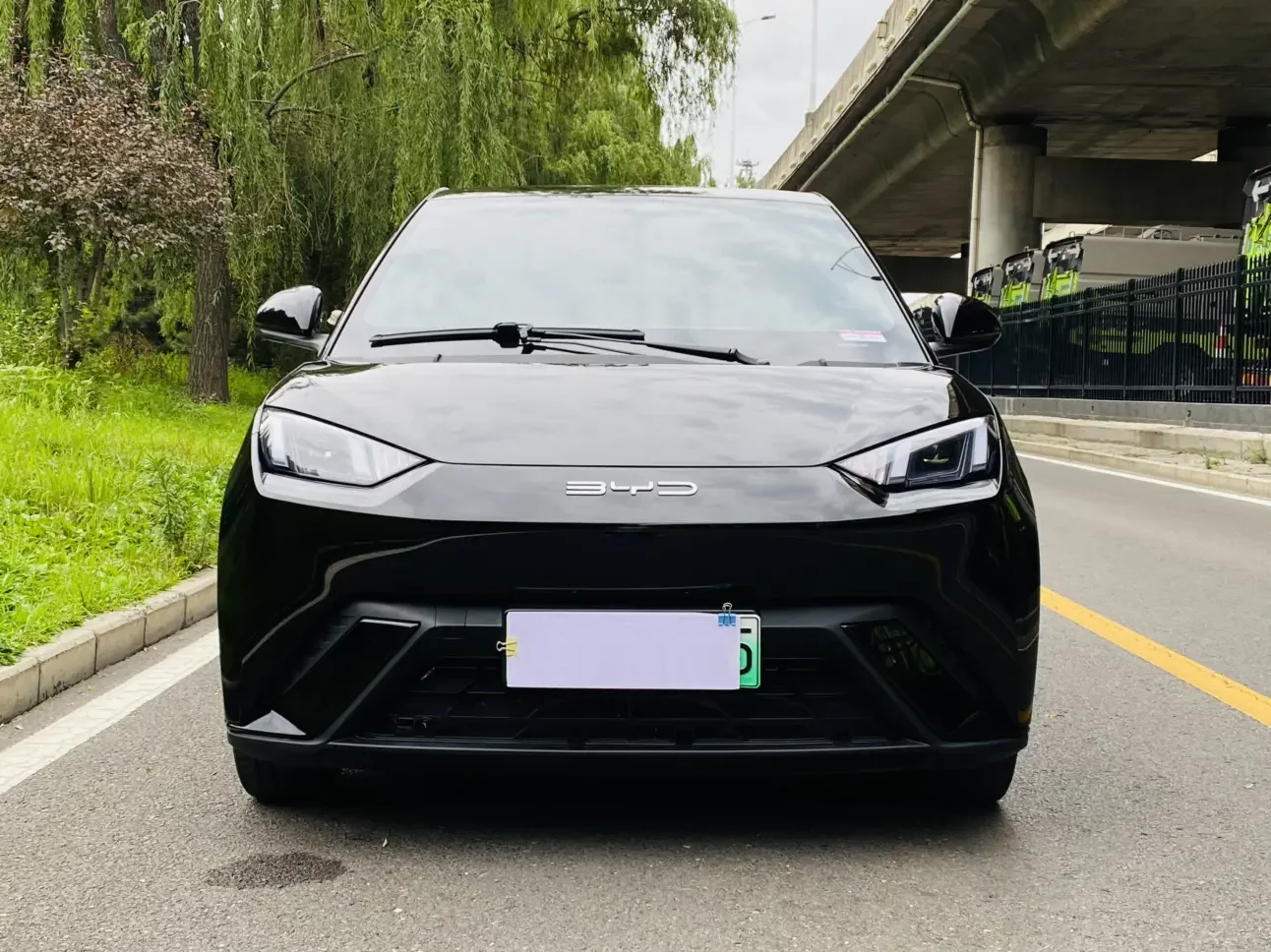 BYD seagull
