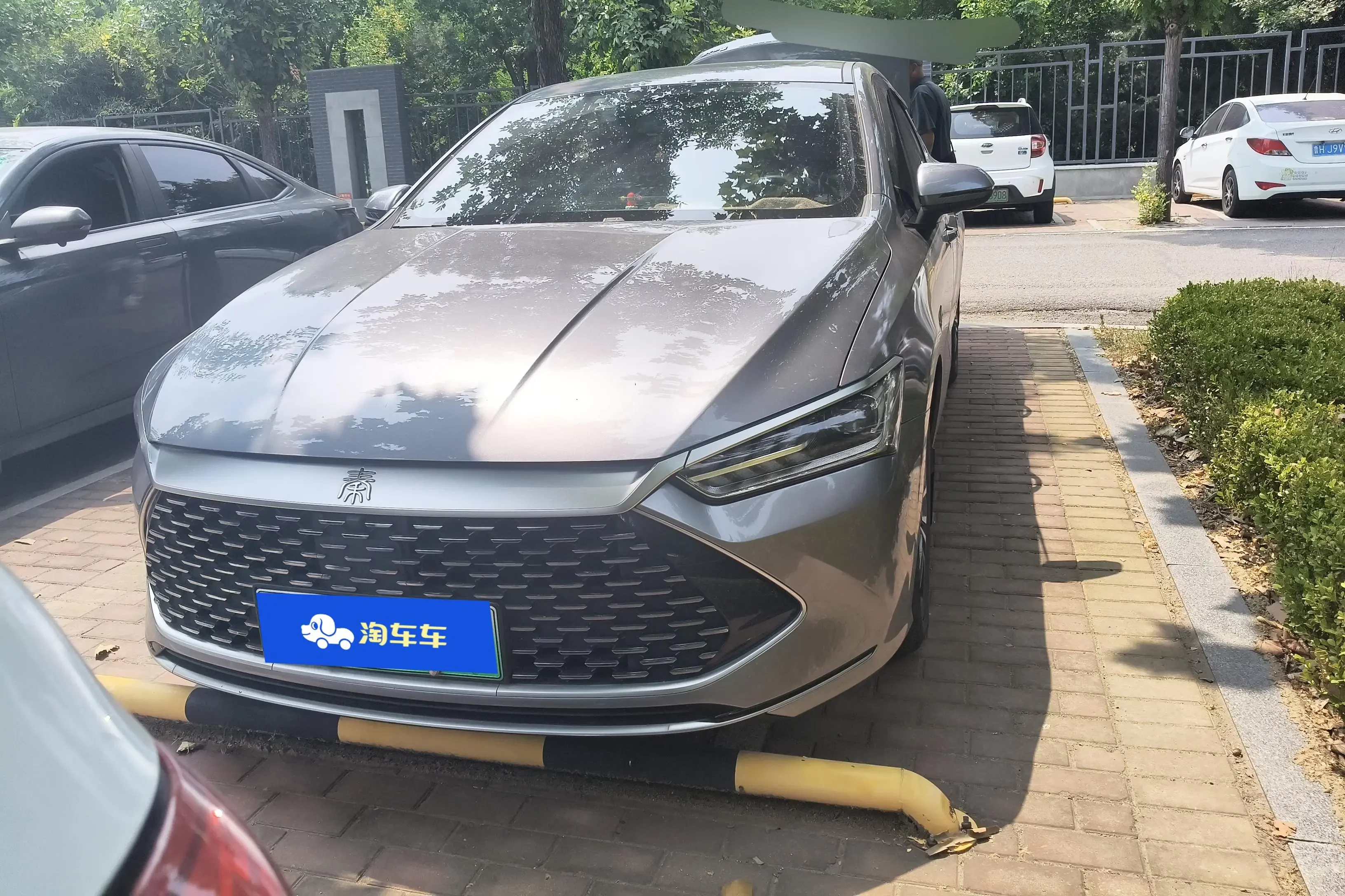 BYD Qin PLUS DM