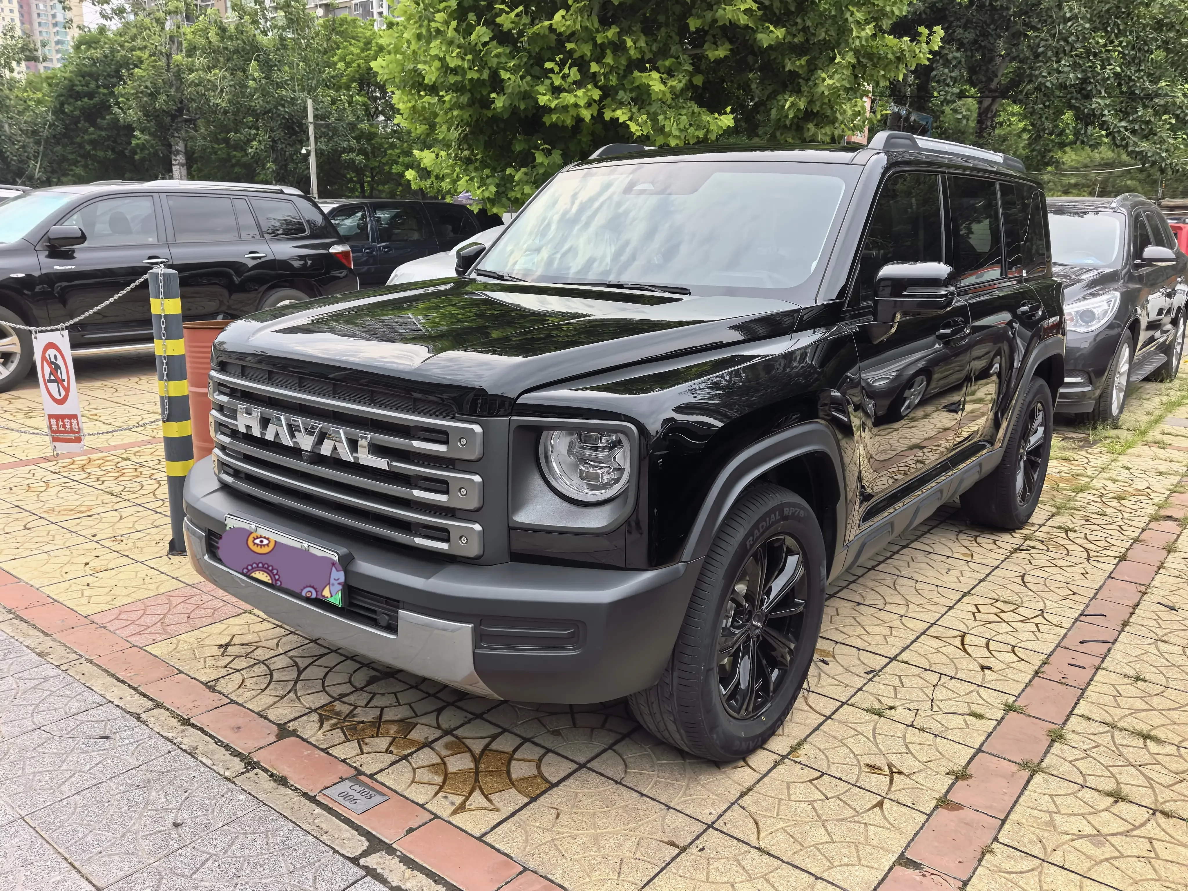 Haval Raptors PHEV  из Китая