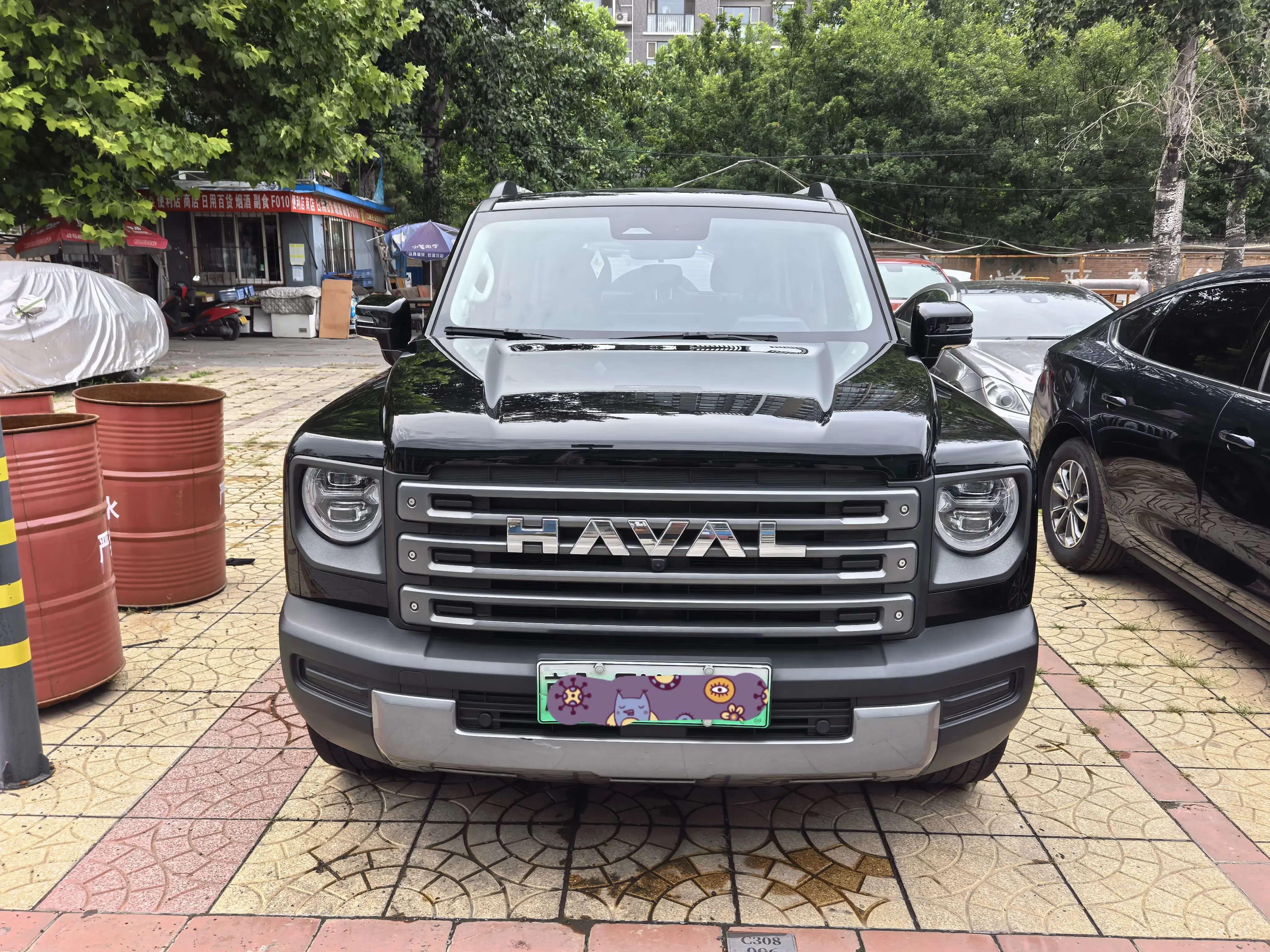 Haval Raptors PHEV  из Китая