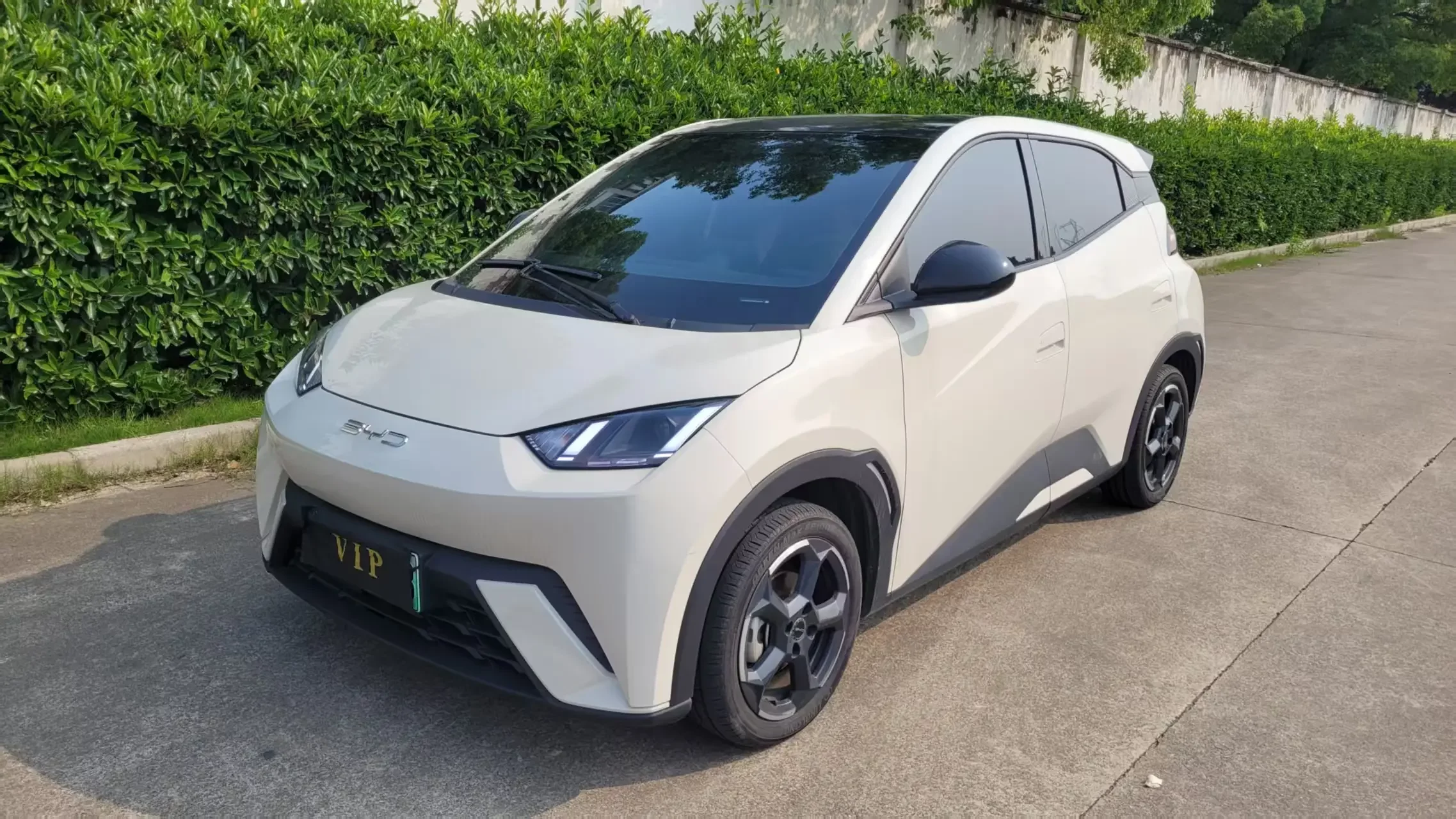 BYD seagull