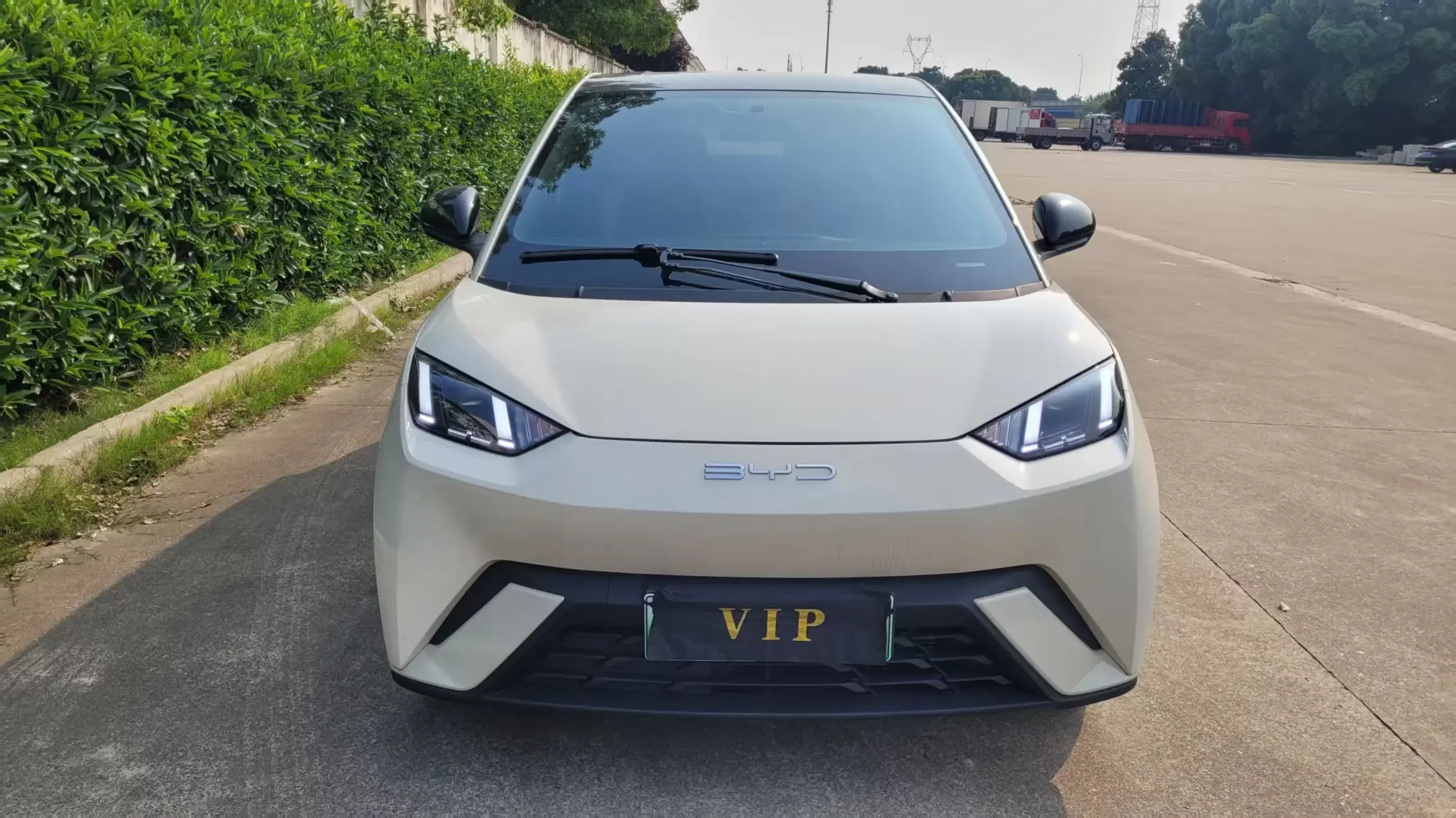 BYD seagull