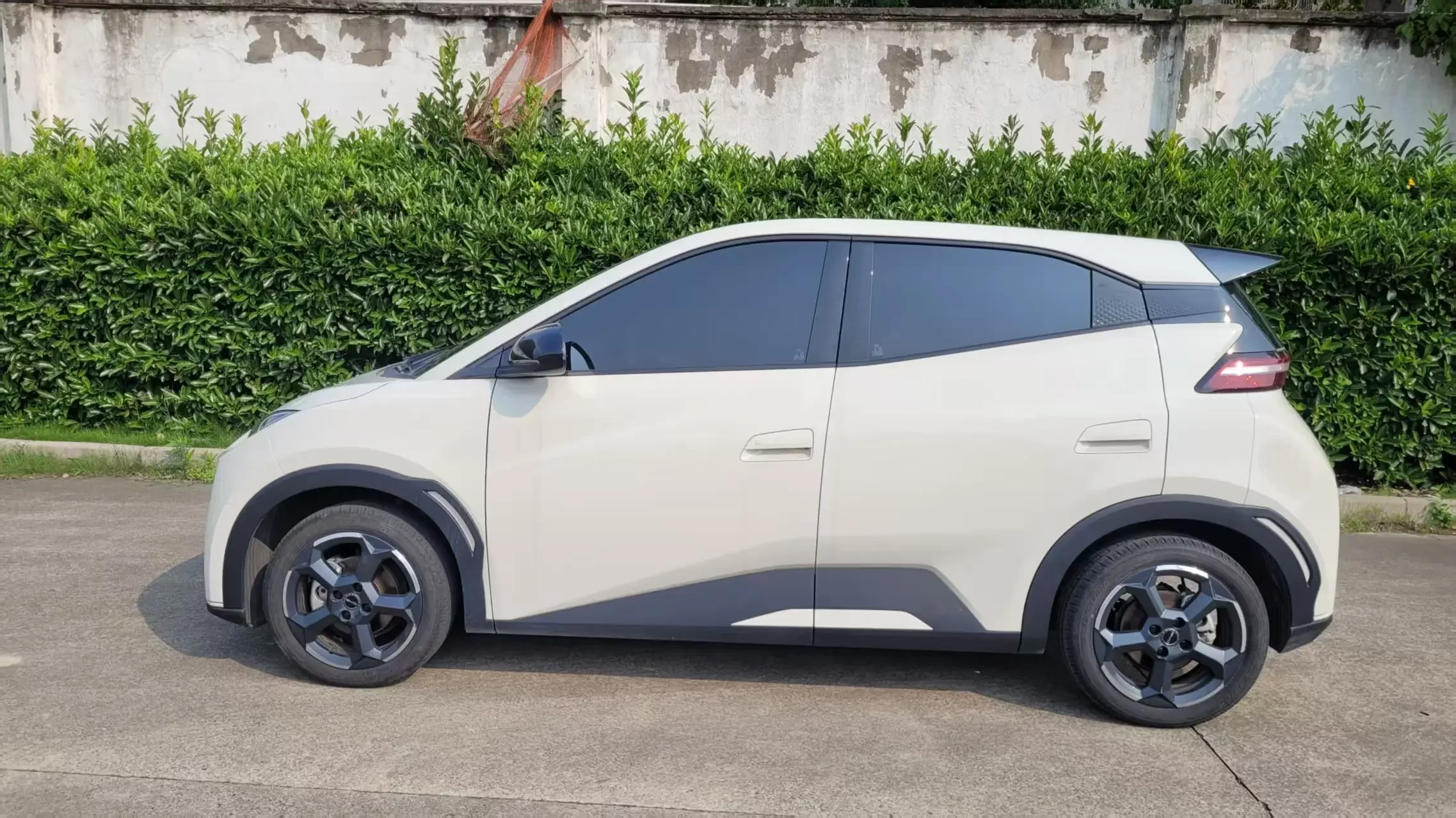 BYD seagull
