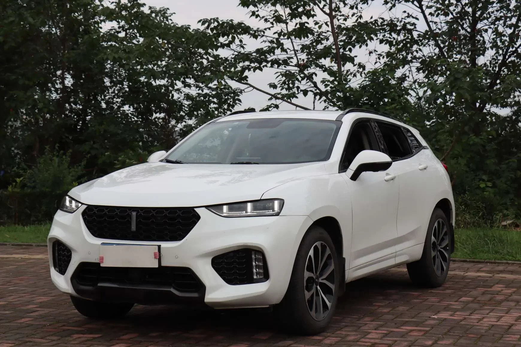 Wey Wei brand VV7