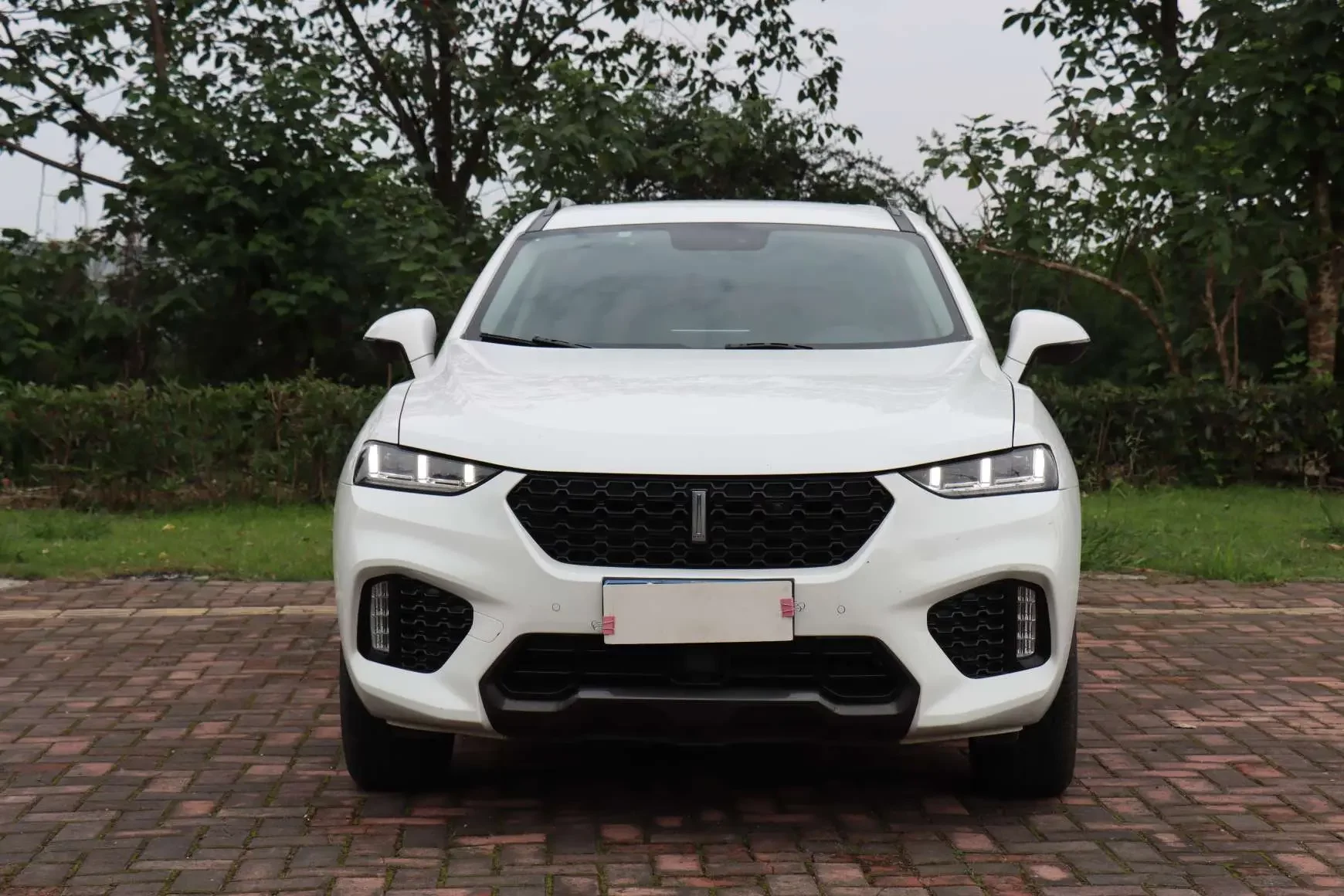 Wey Wei brand VV7