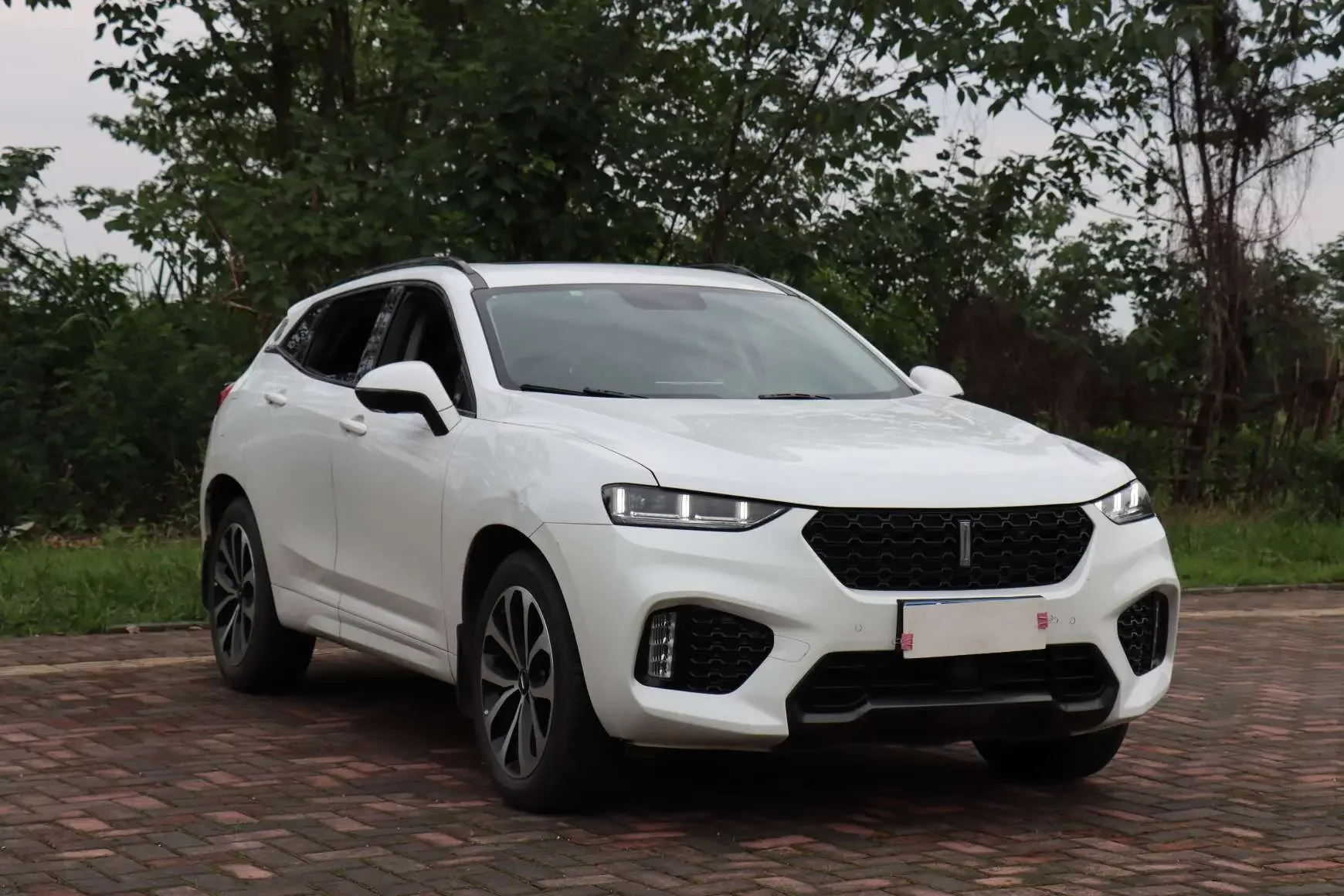 Wey Wei brand VV7