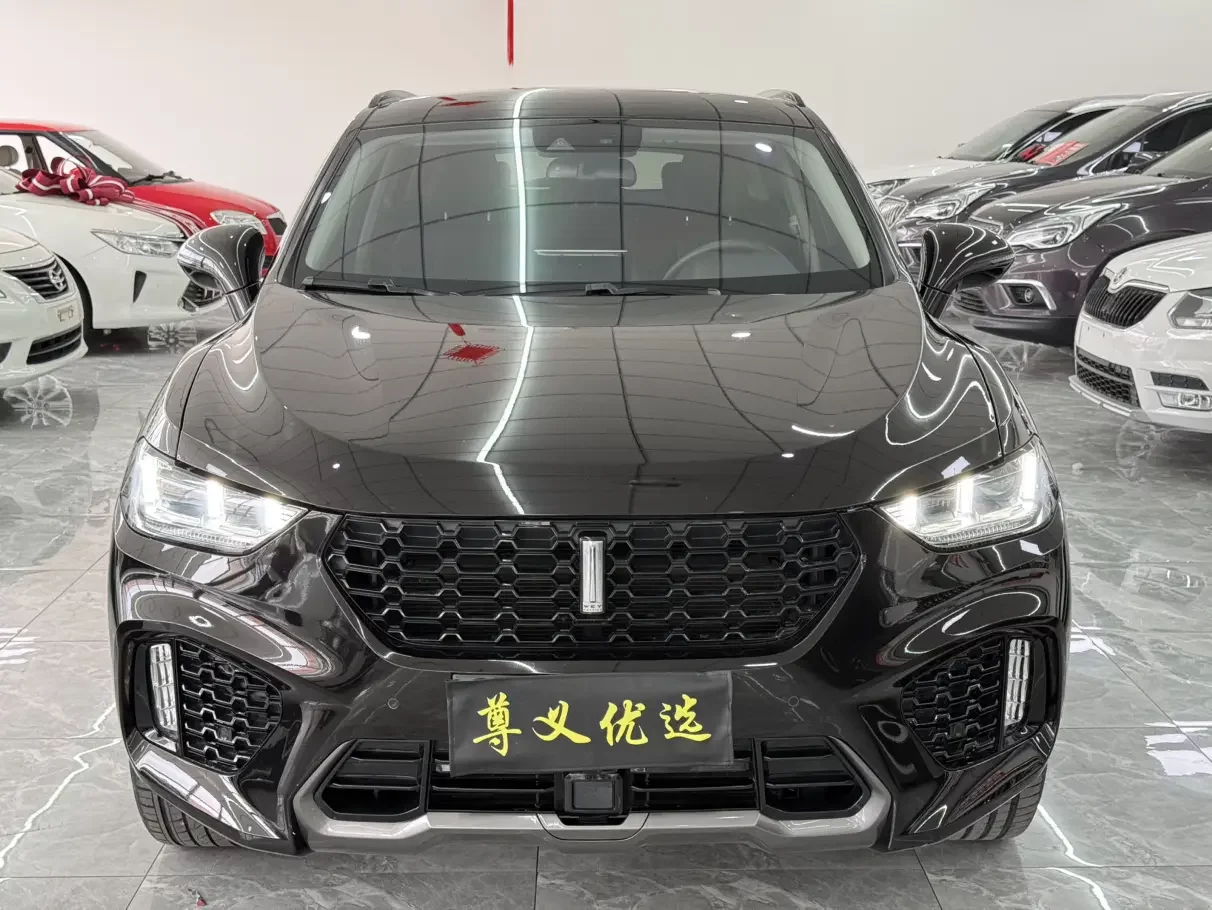 Wey Wei brand VV5