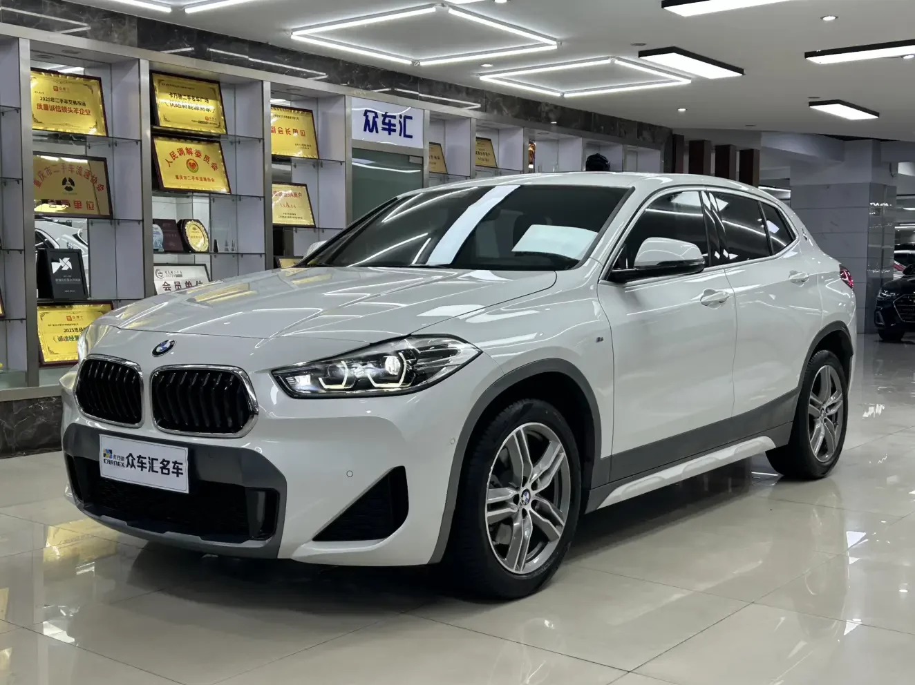 BMW X2