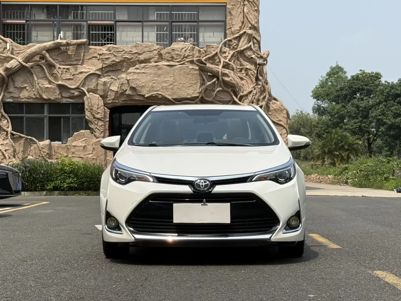 Toyota Levin