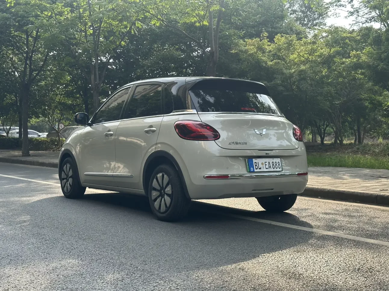 Wuling Bingo