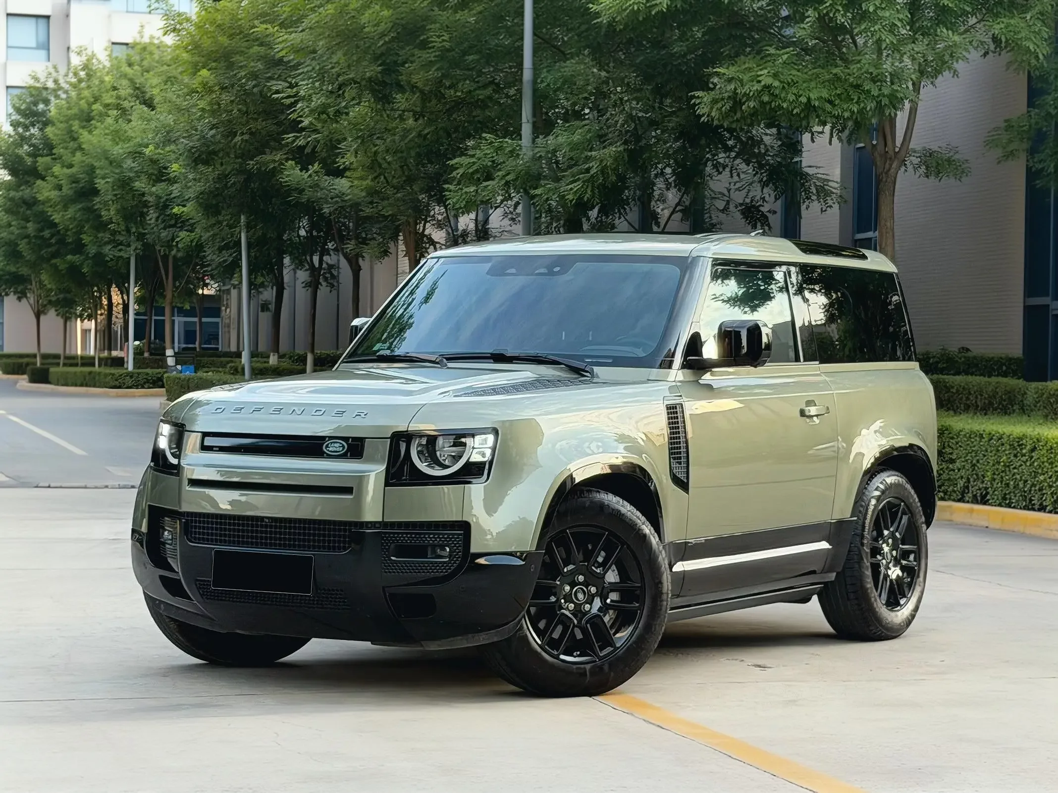 Land Rover guard