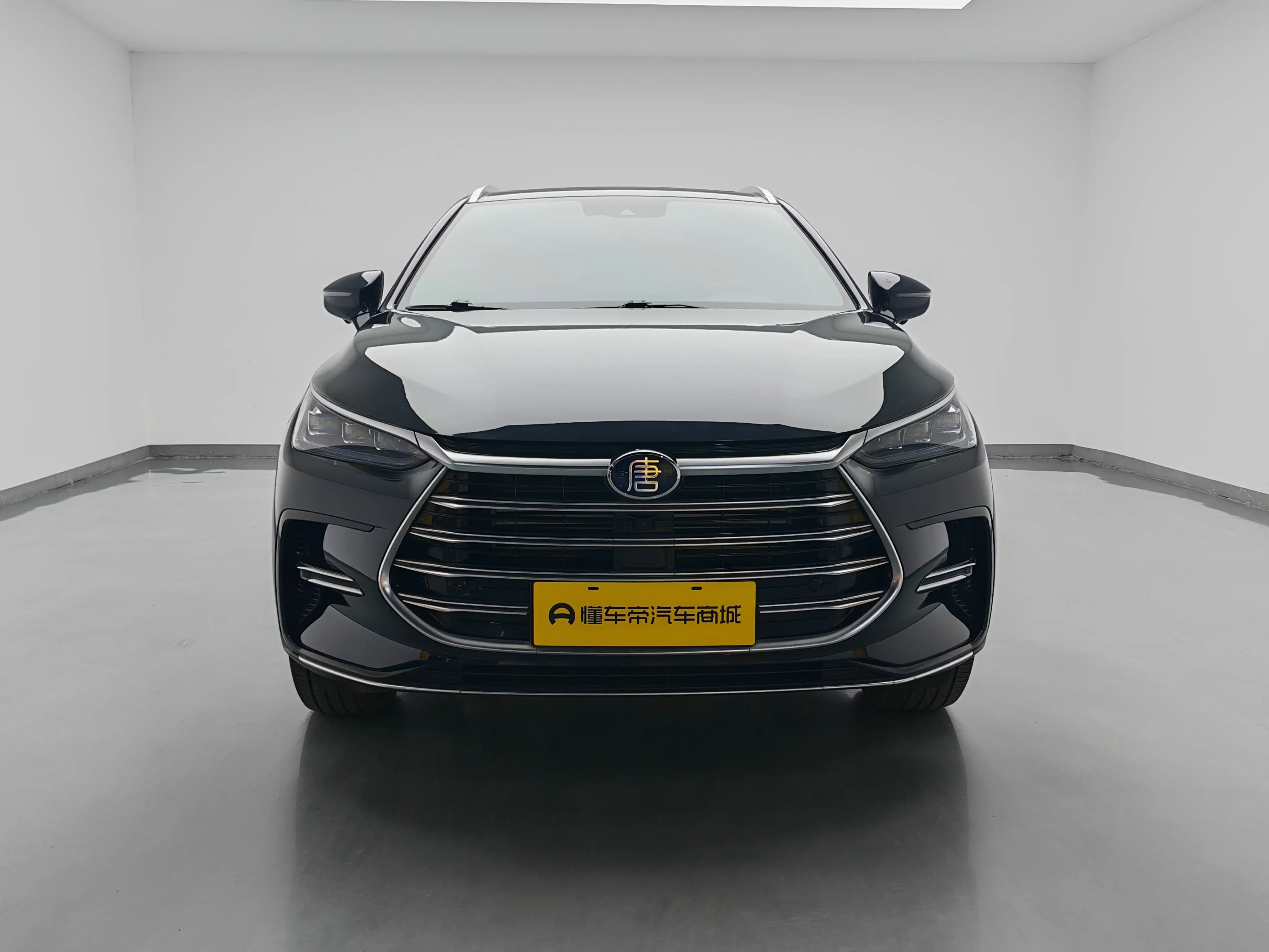 BYD Tang DM