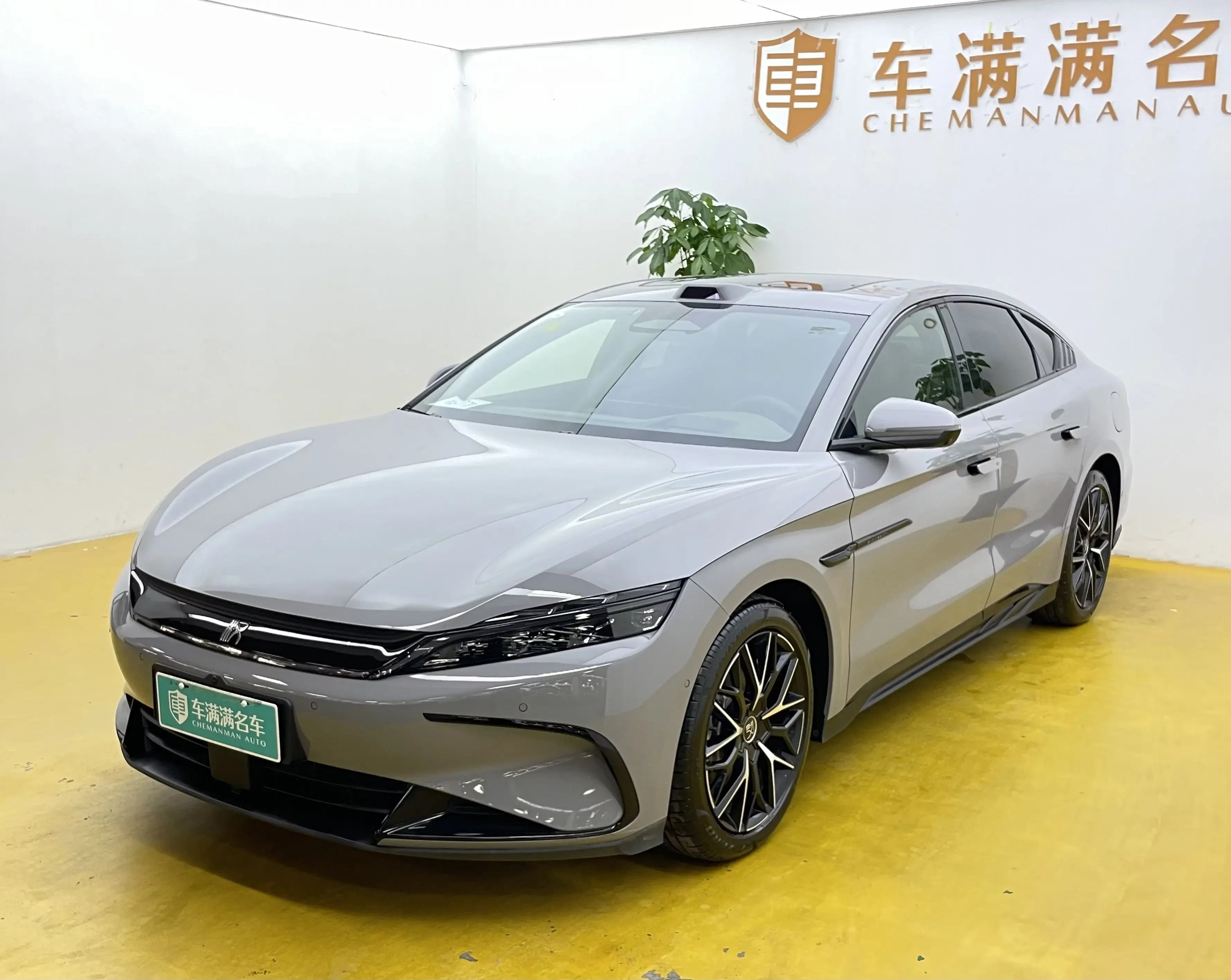 BYD HAN DM