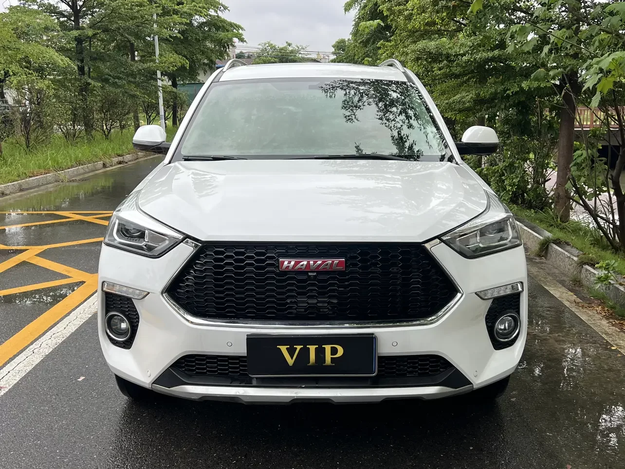 Haval H6 Coupe