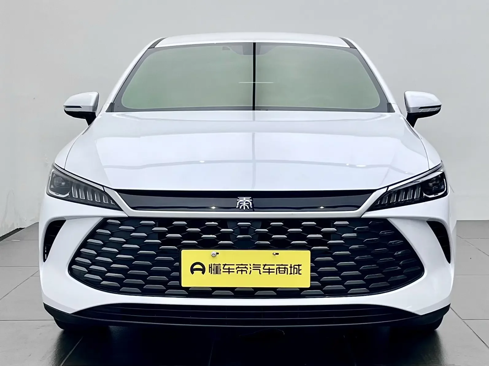 BYD Qin PLUS DM