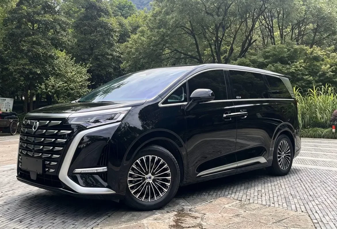 Denza D9 DM