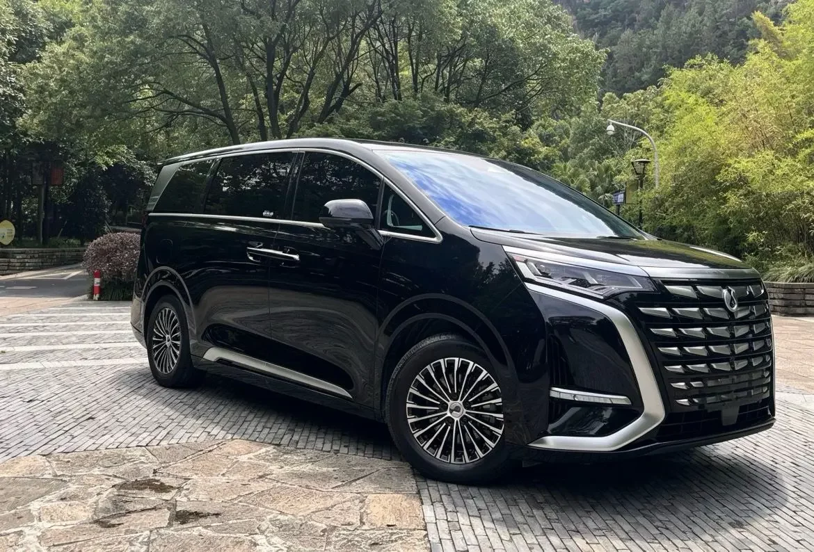 Denza D9 DM