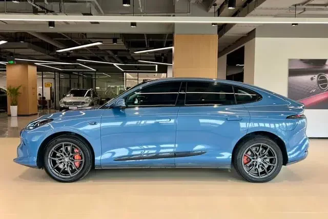 IM Motors LS6