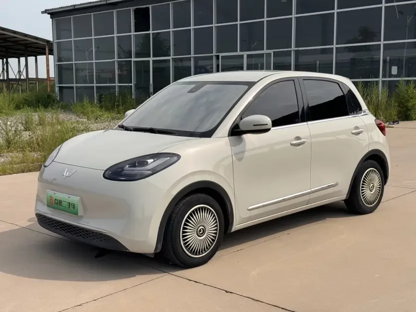 Wuling Bingo