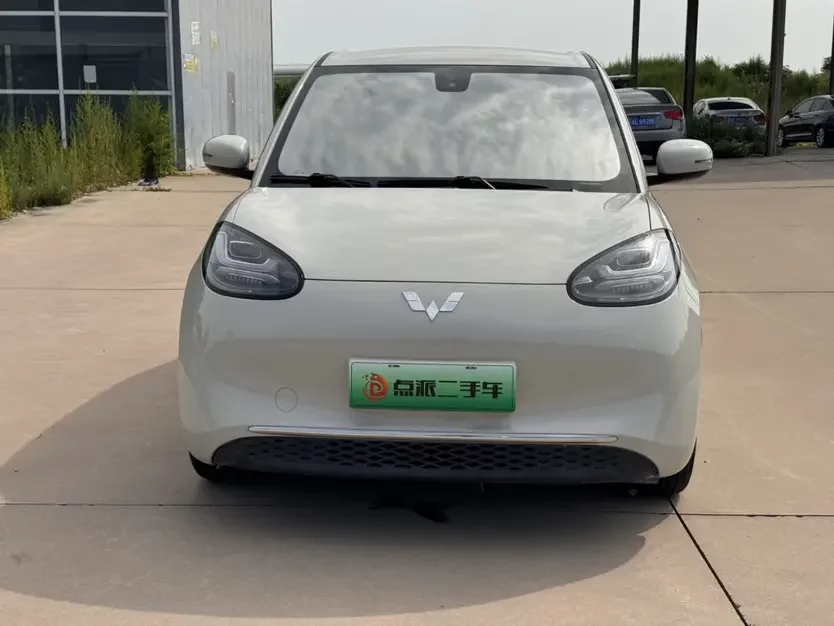 Wuling Bingo