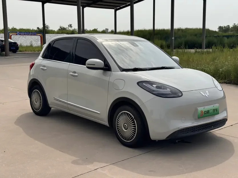 Wuling Bingo