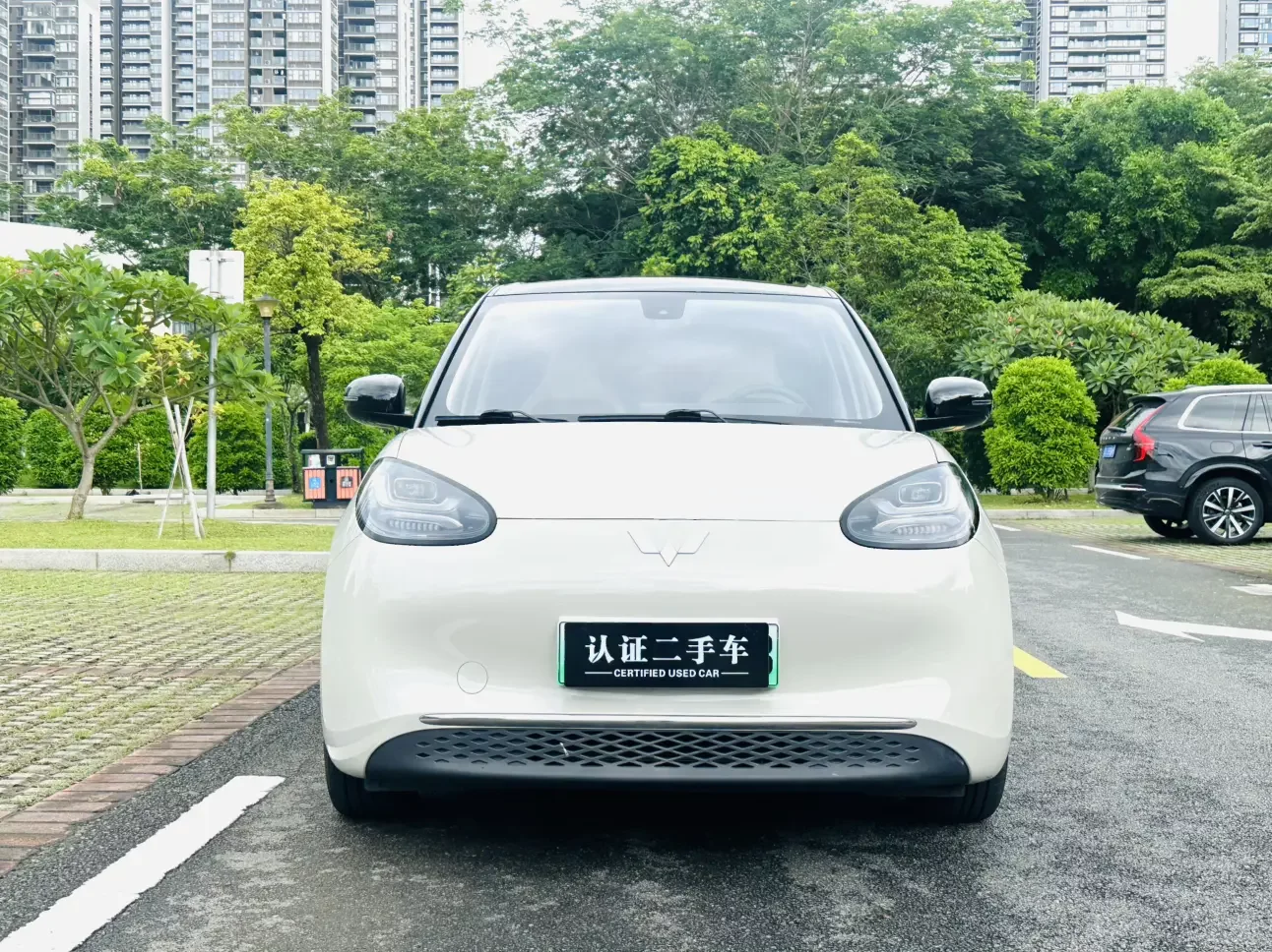 Wuling Bingo